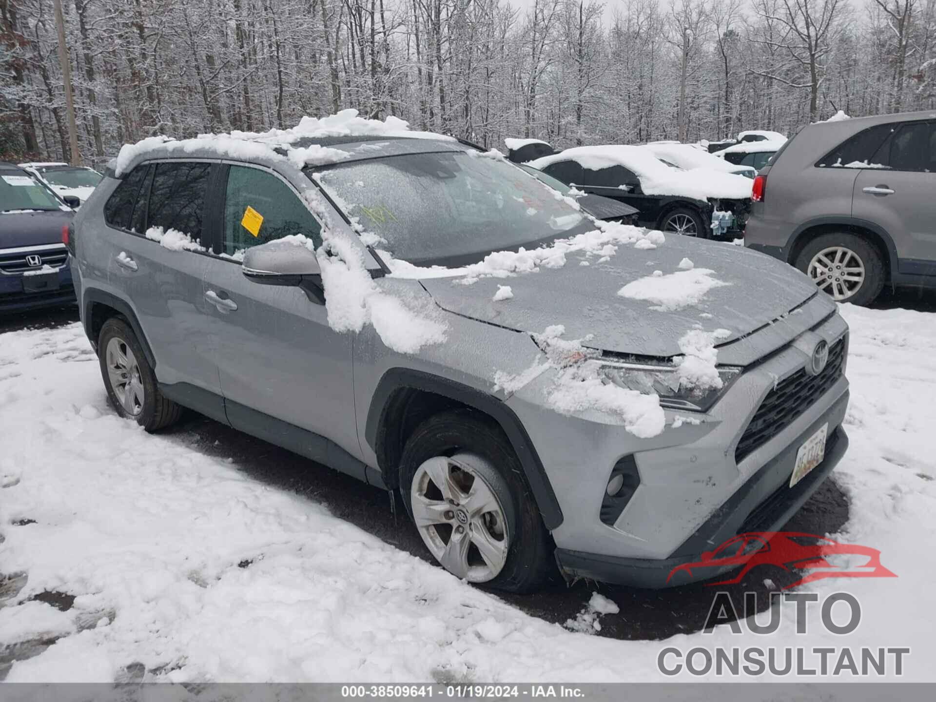 TOYOTA RAV4 2019 - 2T3P1RFV6KW067414