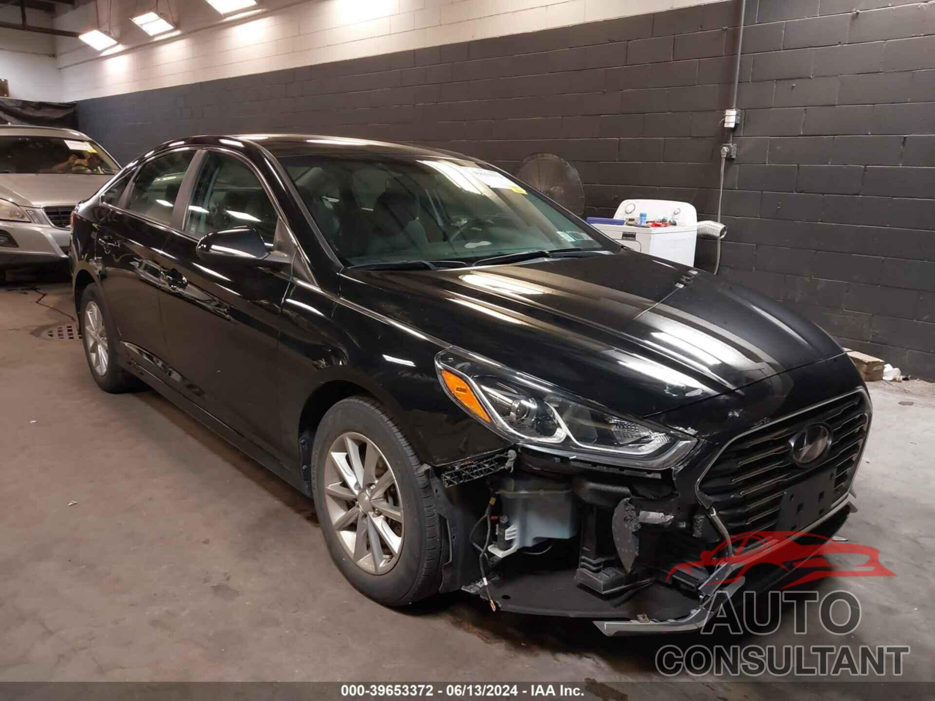 HYUNDAI SONATA 2019 - 5NPE24AFXKH760209