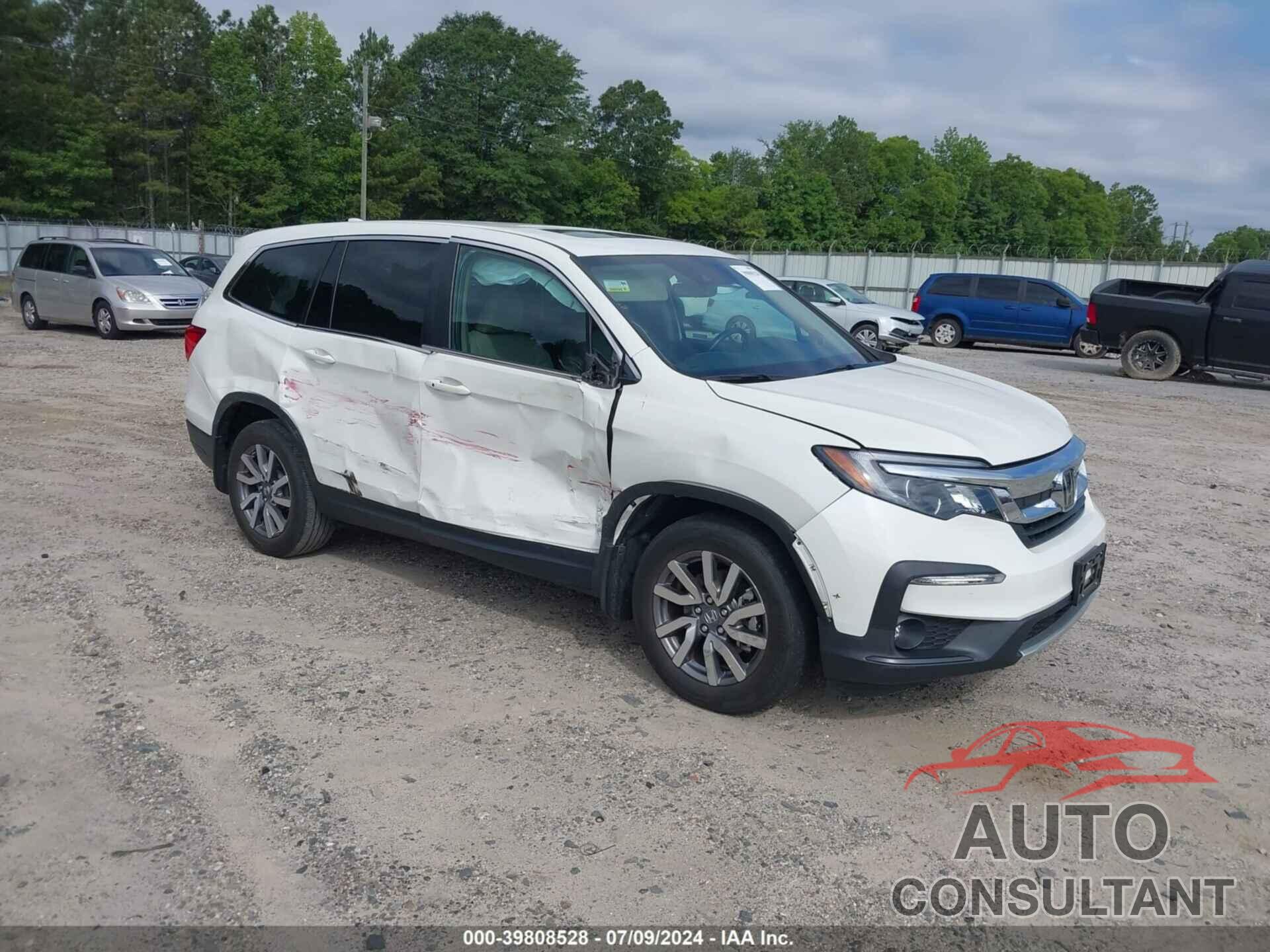 HONDA PILOT 2019 - 5FNYF5H43KB021712