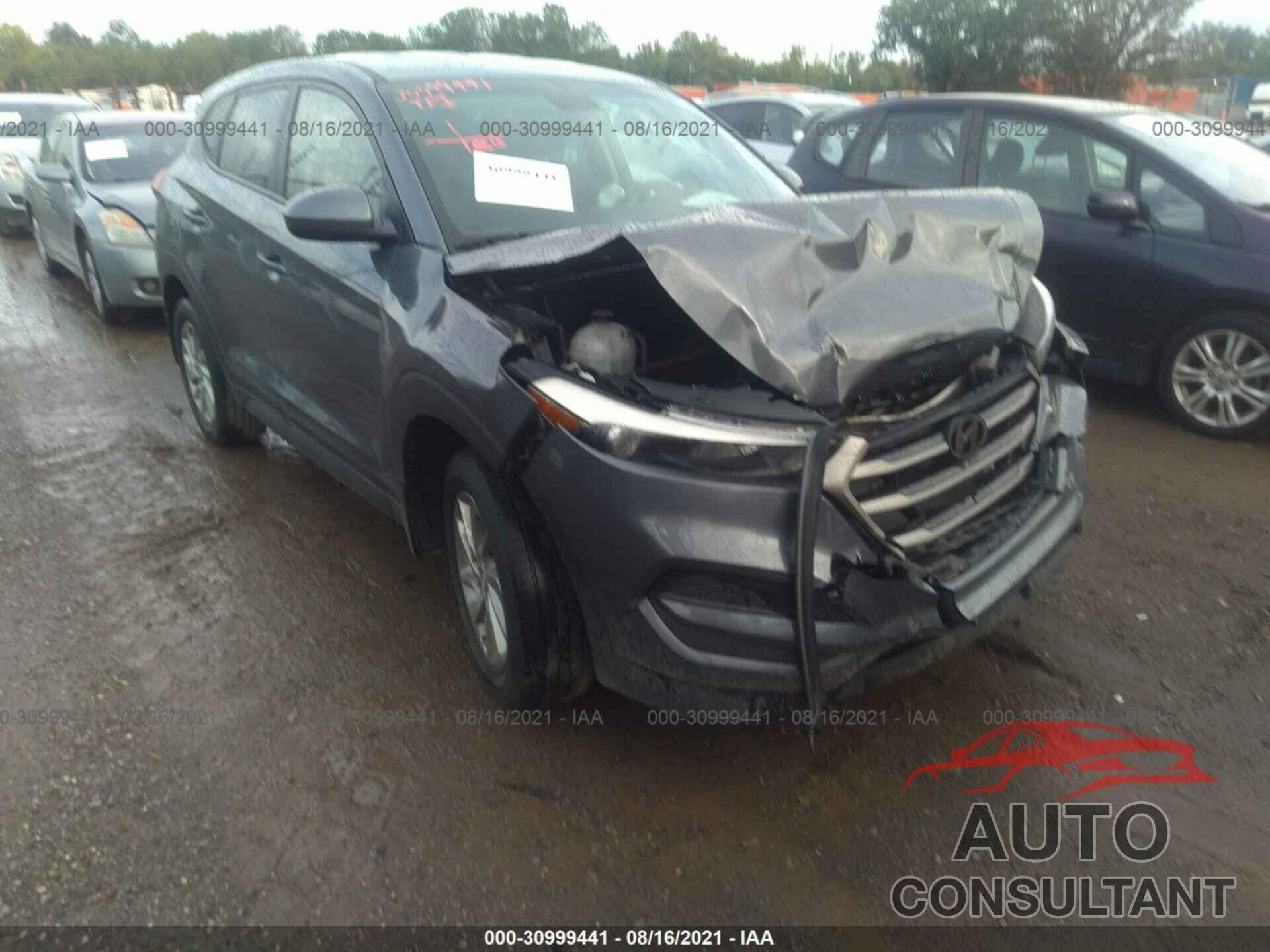 HYUNDAI TUCSON 2016 - KM8J23A40GU118100
