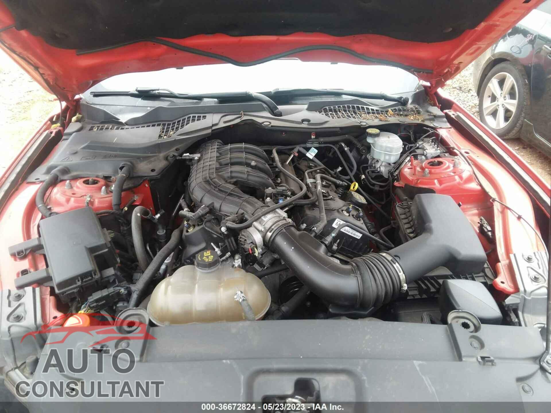 FORD MUSTANG 2017 - 1FA6P8AM2H5311911