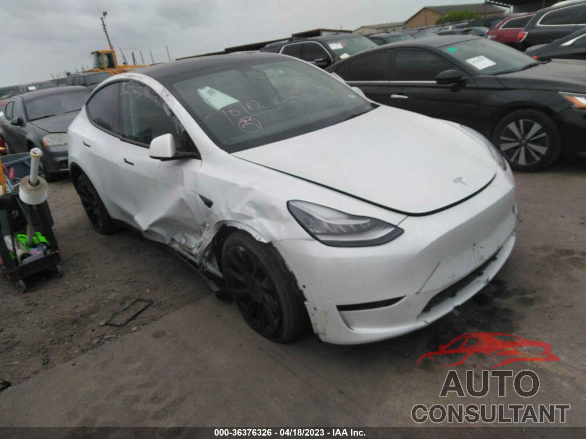 TESLA MODEL Y 2021 - 5YJYGDEE6MF102808