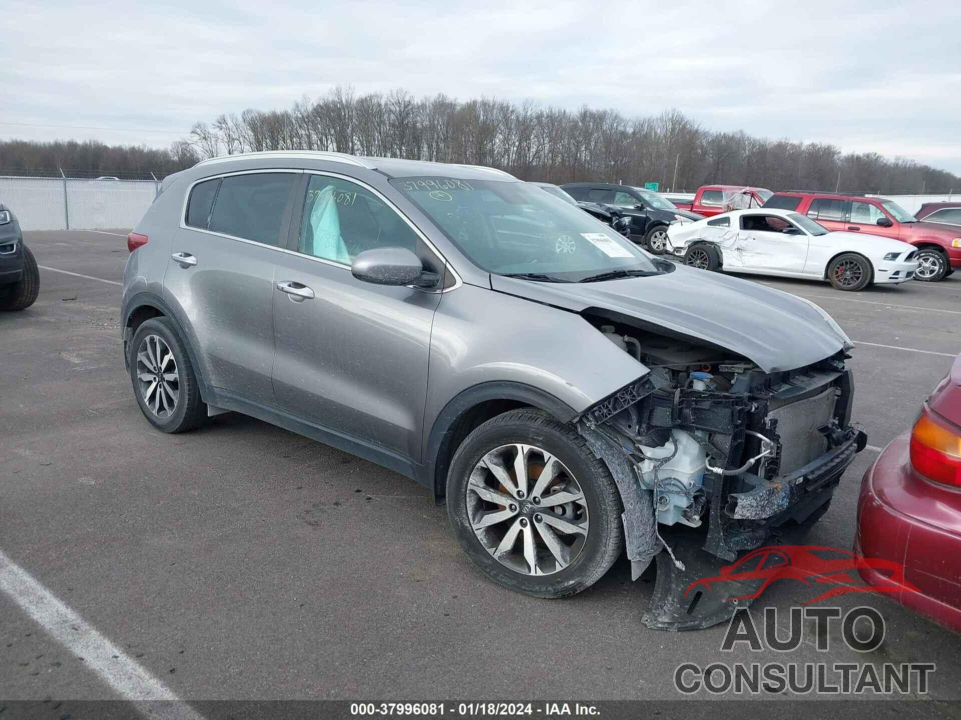 KIA SPORTAGE 2017 - KNDPN3ACXH7217472