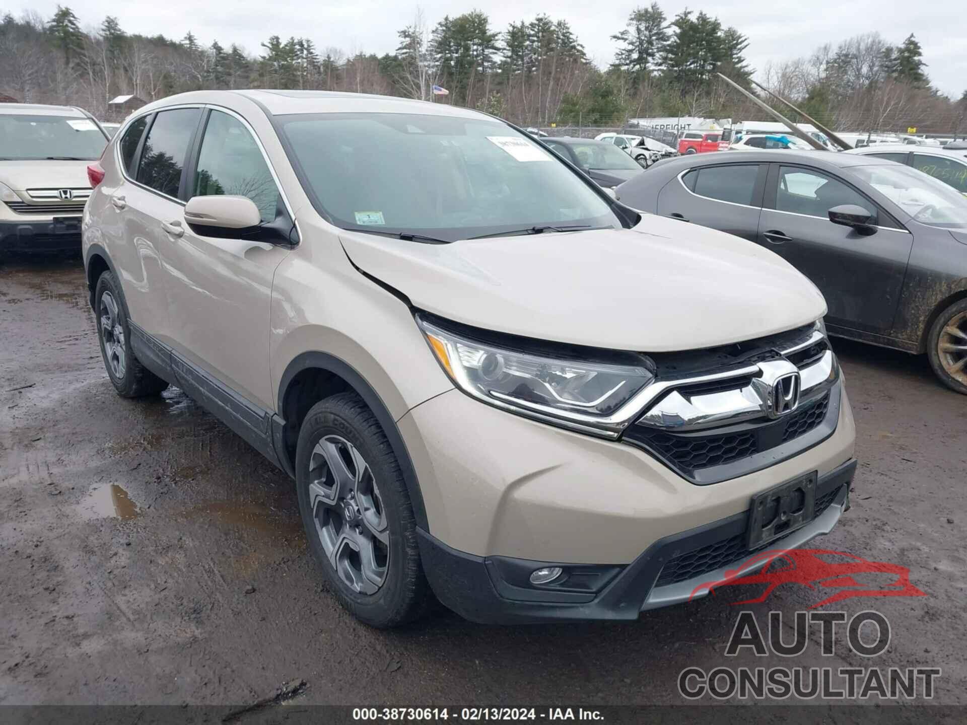 HONDA CR-V 2019 - 2HKRW2H55KH644293