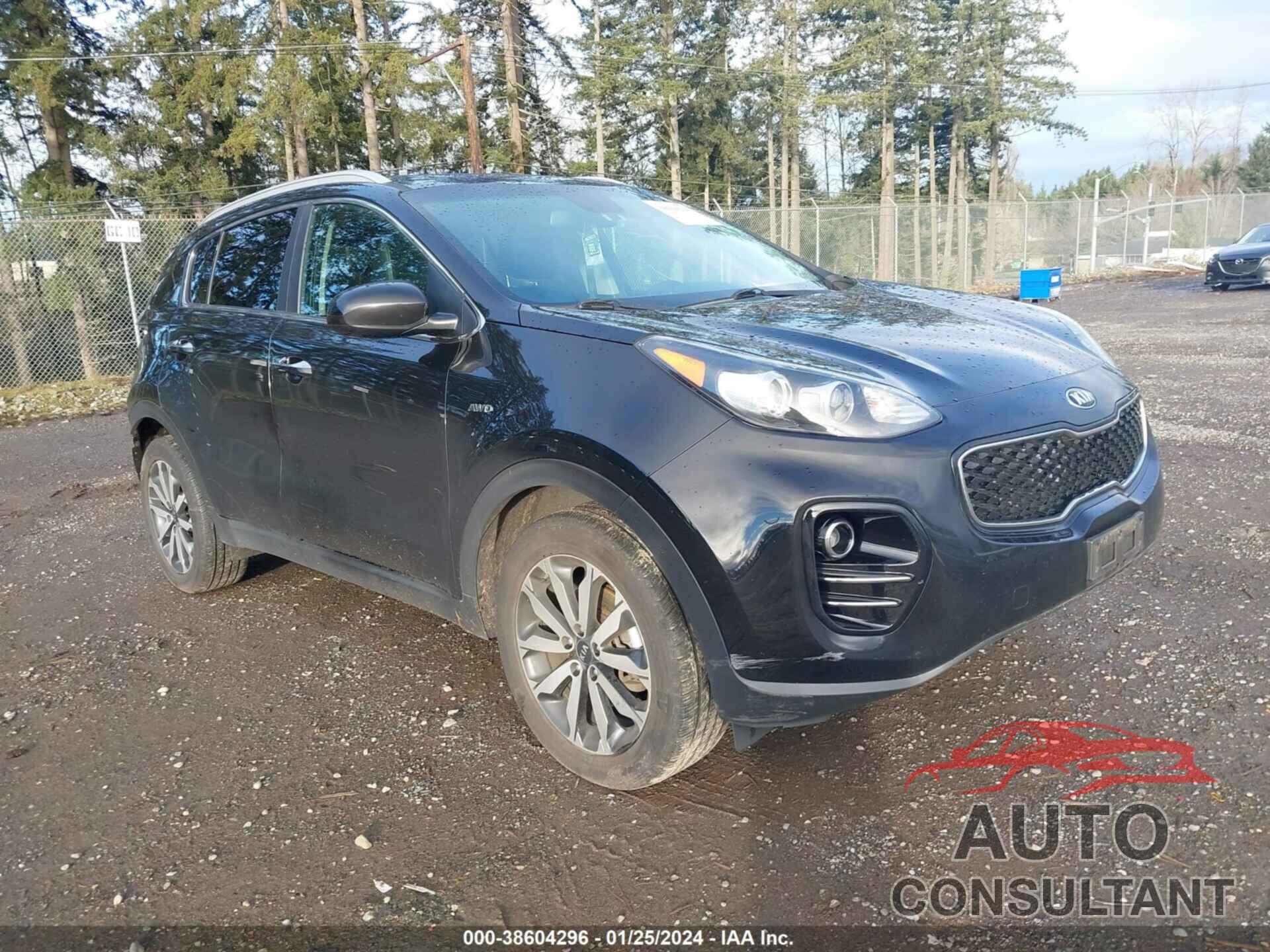 KIA SPORTAGE 2017 - KNDPNCAC3H7165621