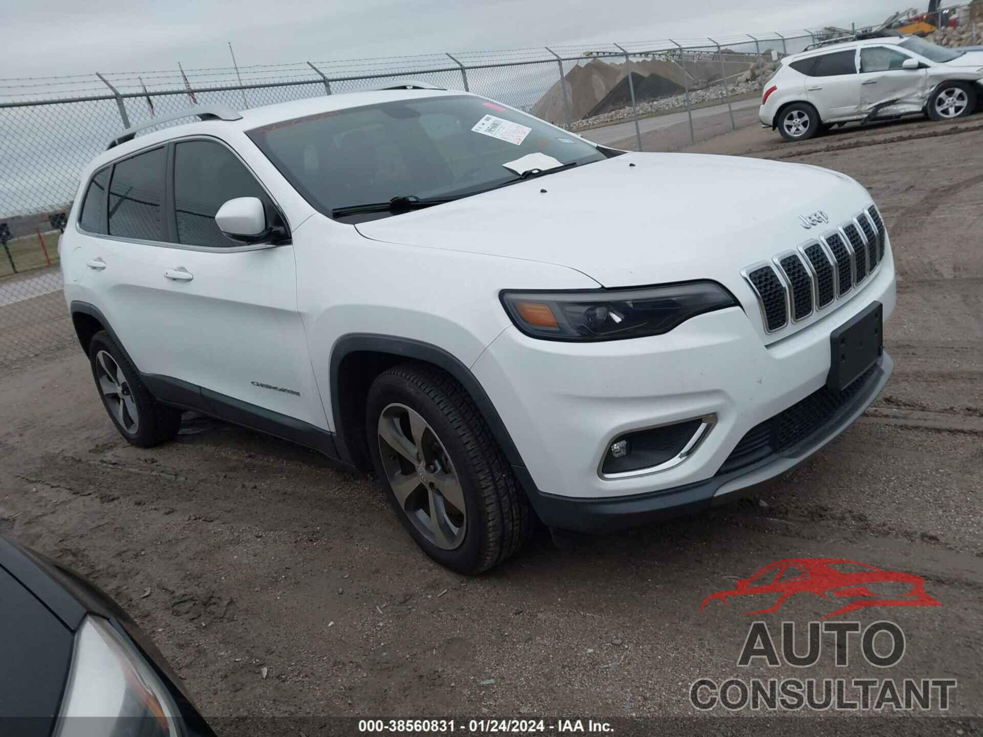 JEEP CHEROKEE 2019 - 1C4PJLDB0KD270270