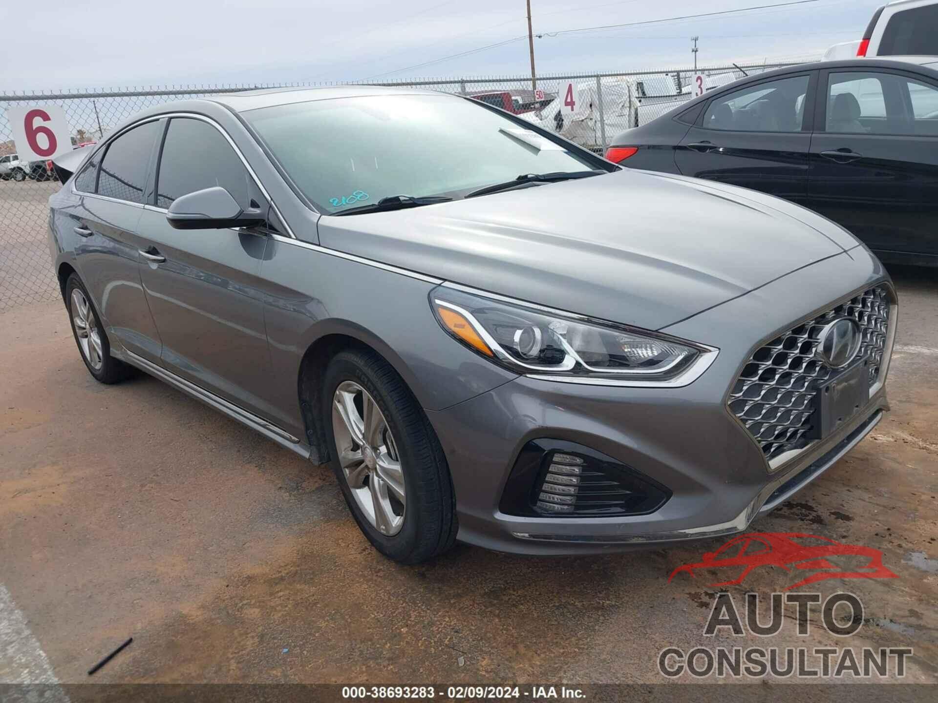 HYUNDAI SONATA 2019 - 5NPE34AF5KH803500