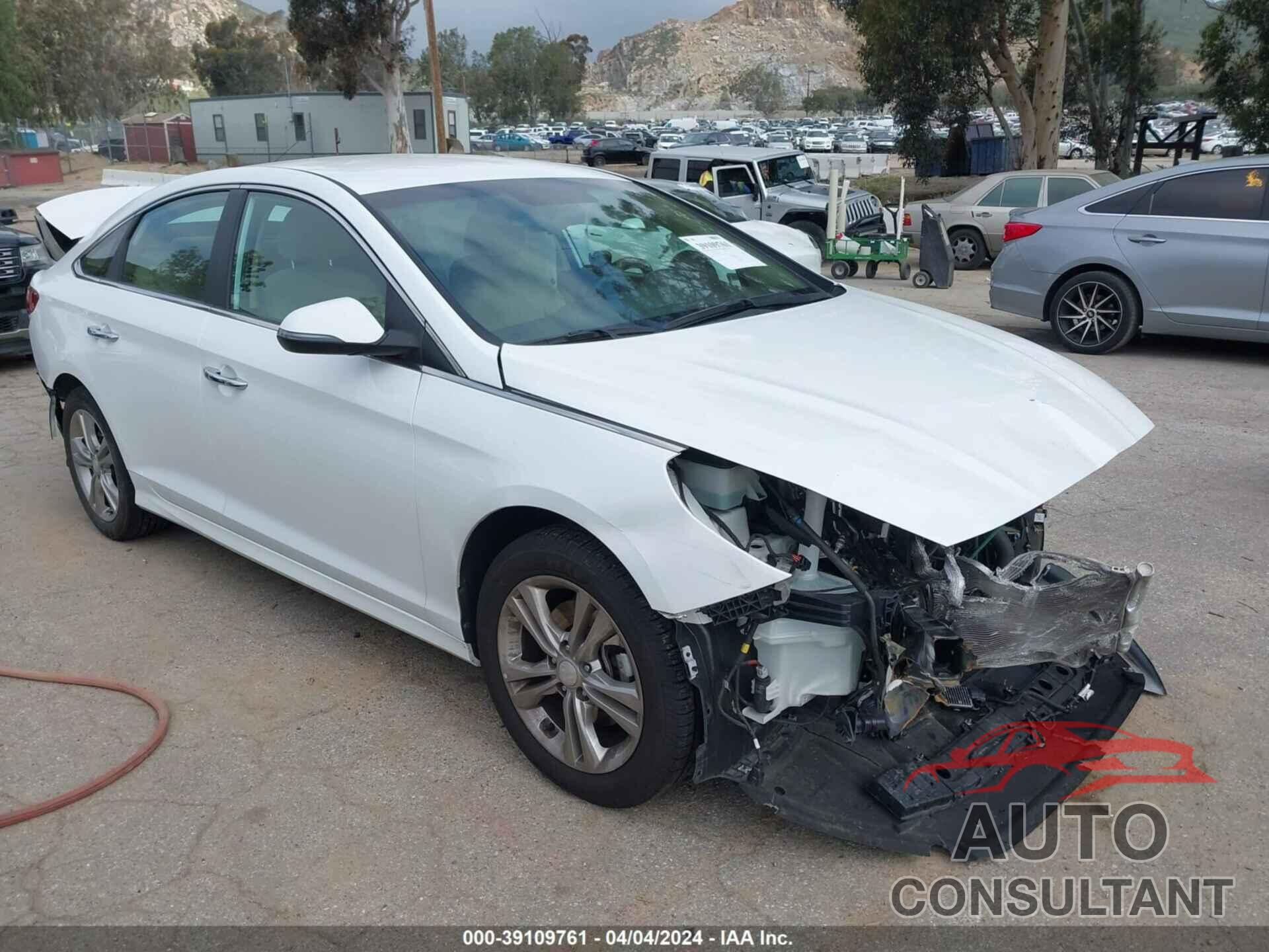 HYUNDAI SONATA 2019 - 5NPE34AF2KH750285