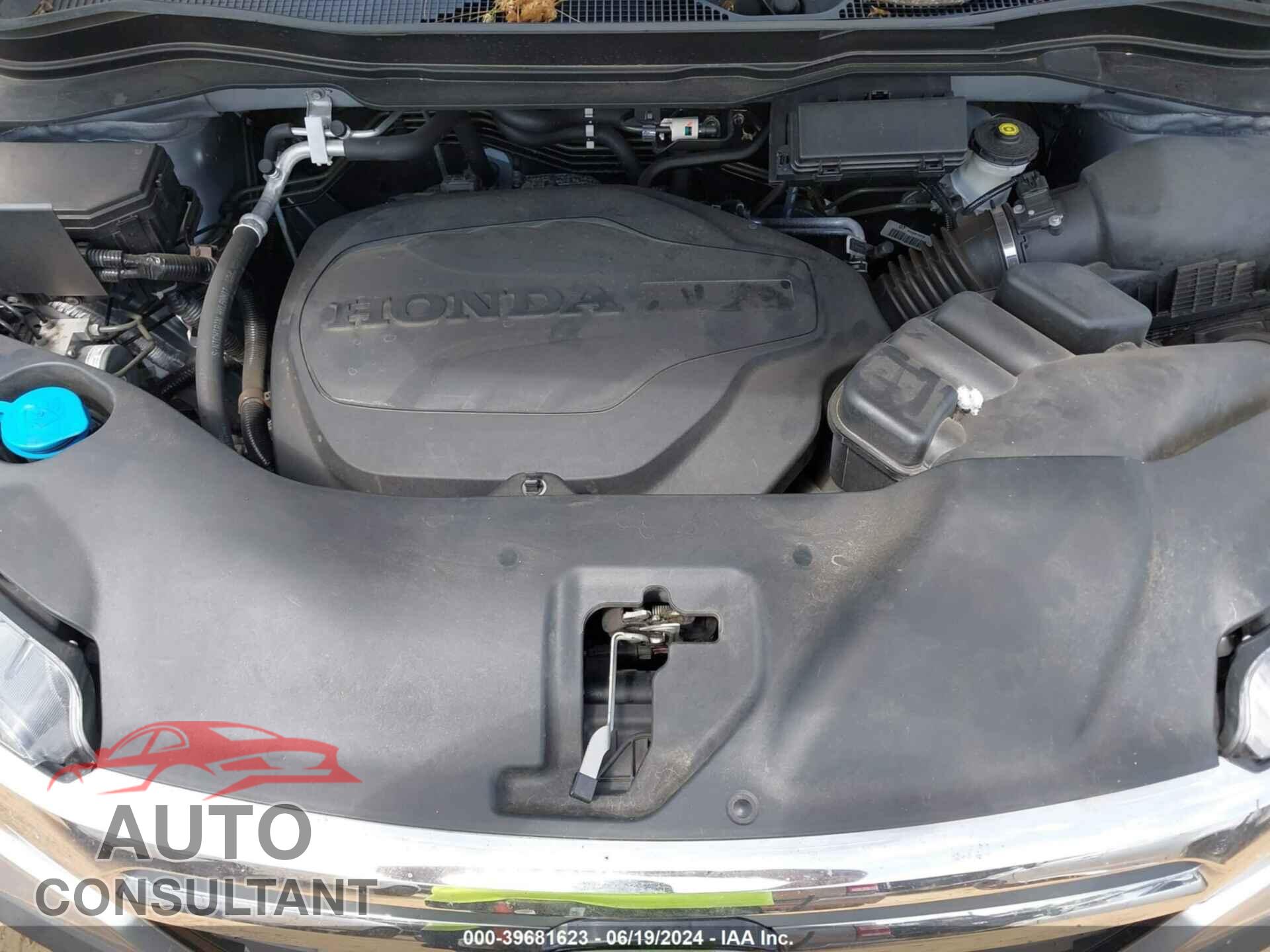 HONDA RIDGELINE 2019 - 5FPYK3F12KB002004