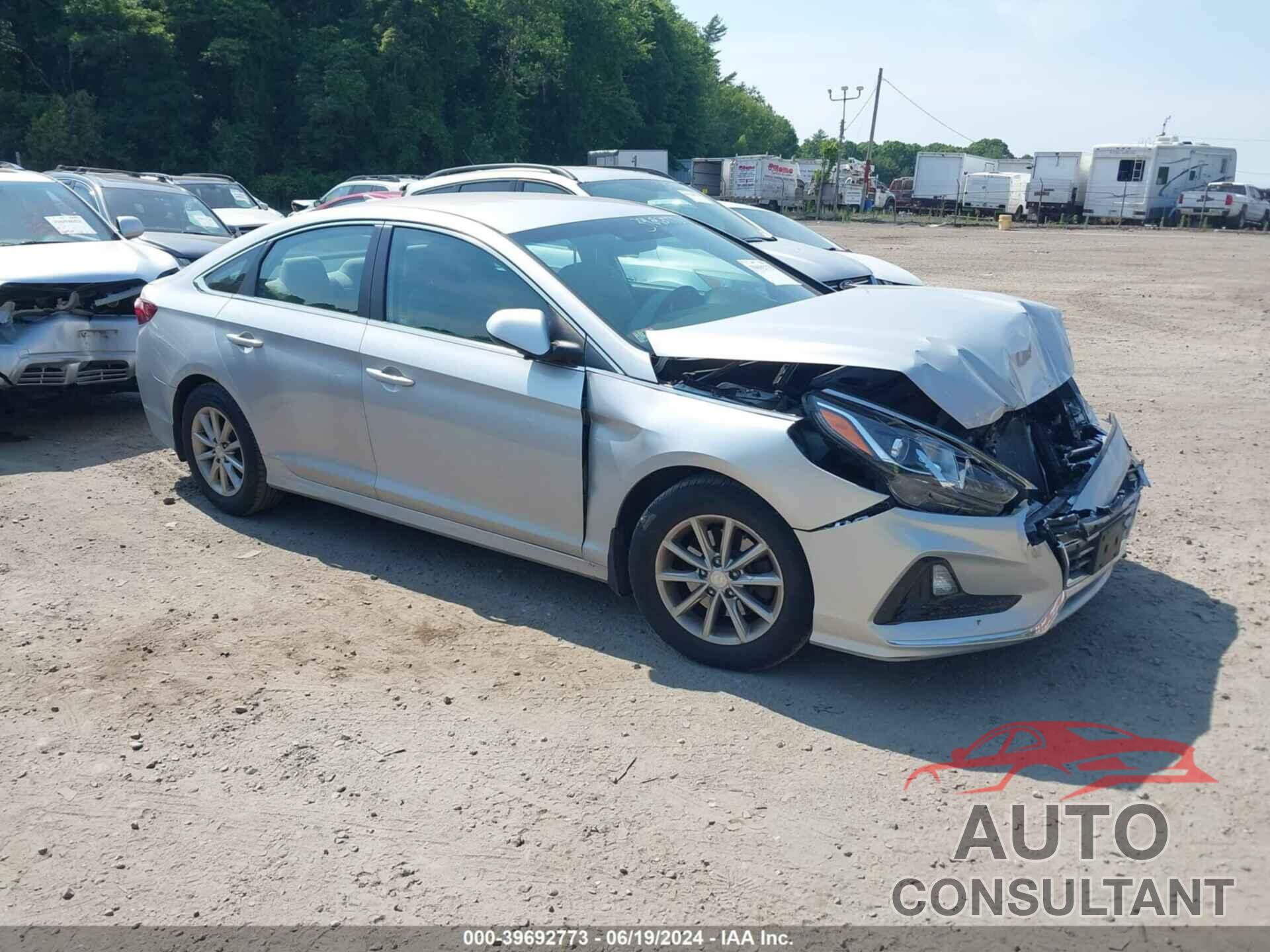 HYUNDAI SONATA 2019 - 5NPE24AF7KH795046