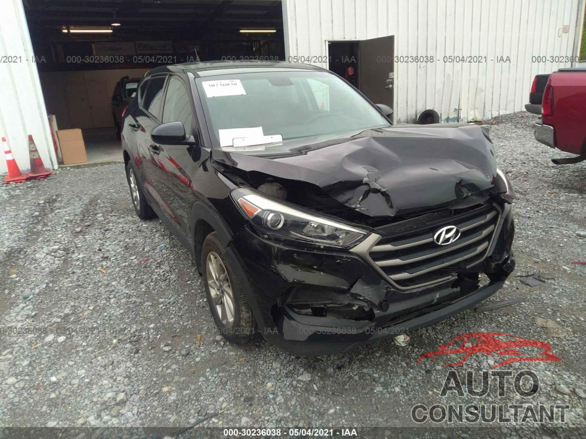 HYUNDAI TUCSON 2016 - KM8J23A43GU256147