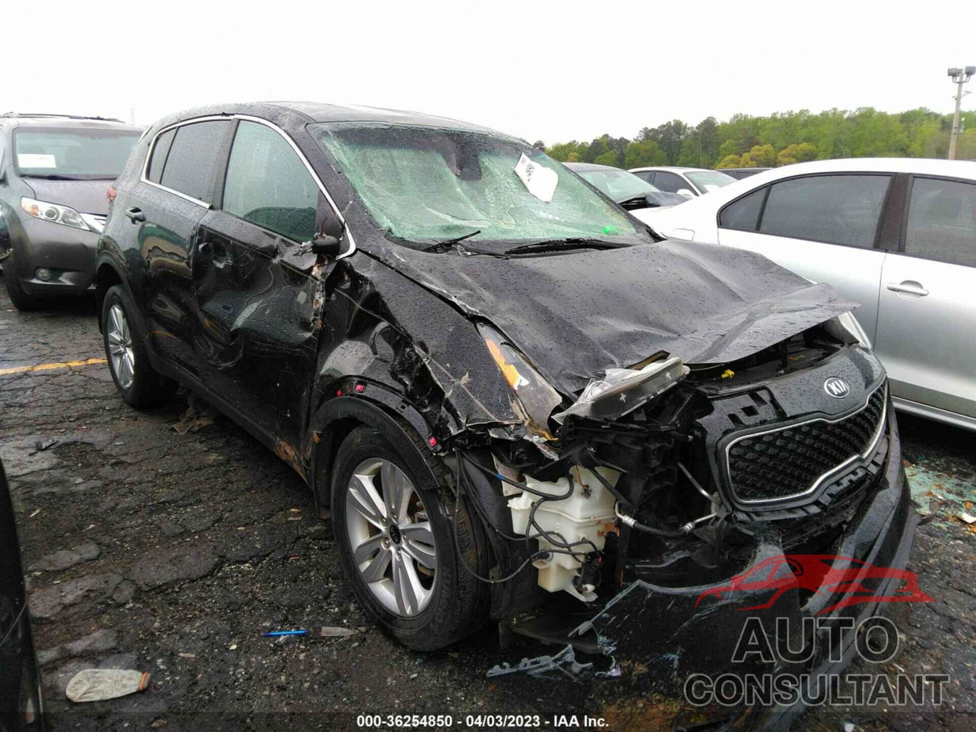 KIA SPORTAGE 2019 - KNDPM3AC1K7511496