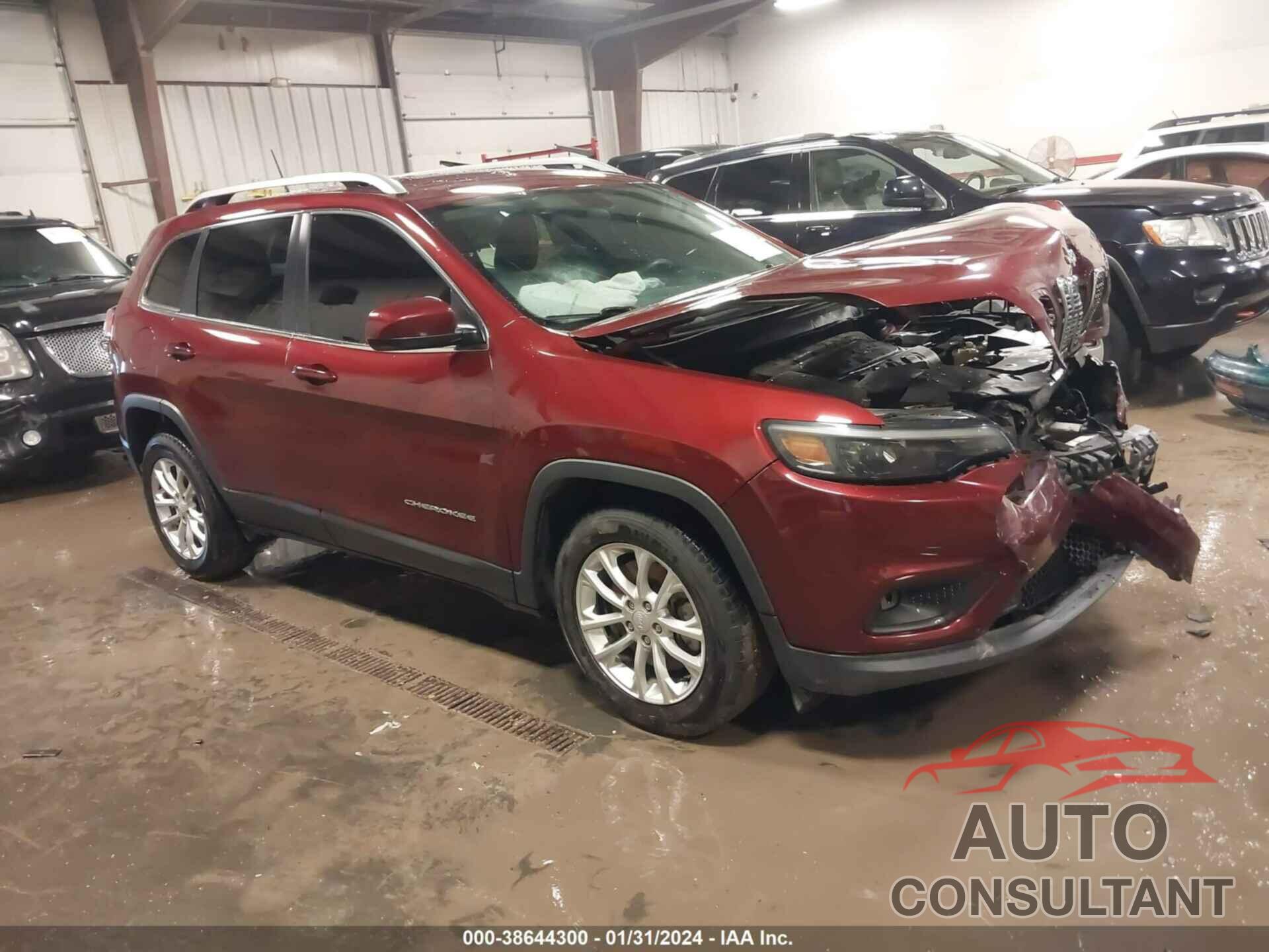 JEEP CHEROKEE 2019 - 1C4PJLCB6KD203433