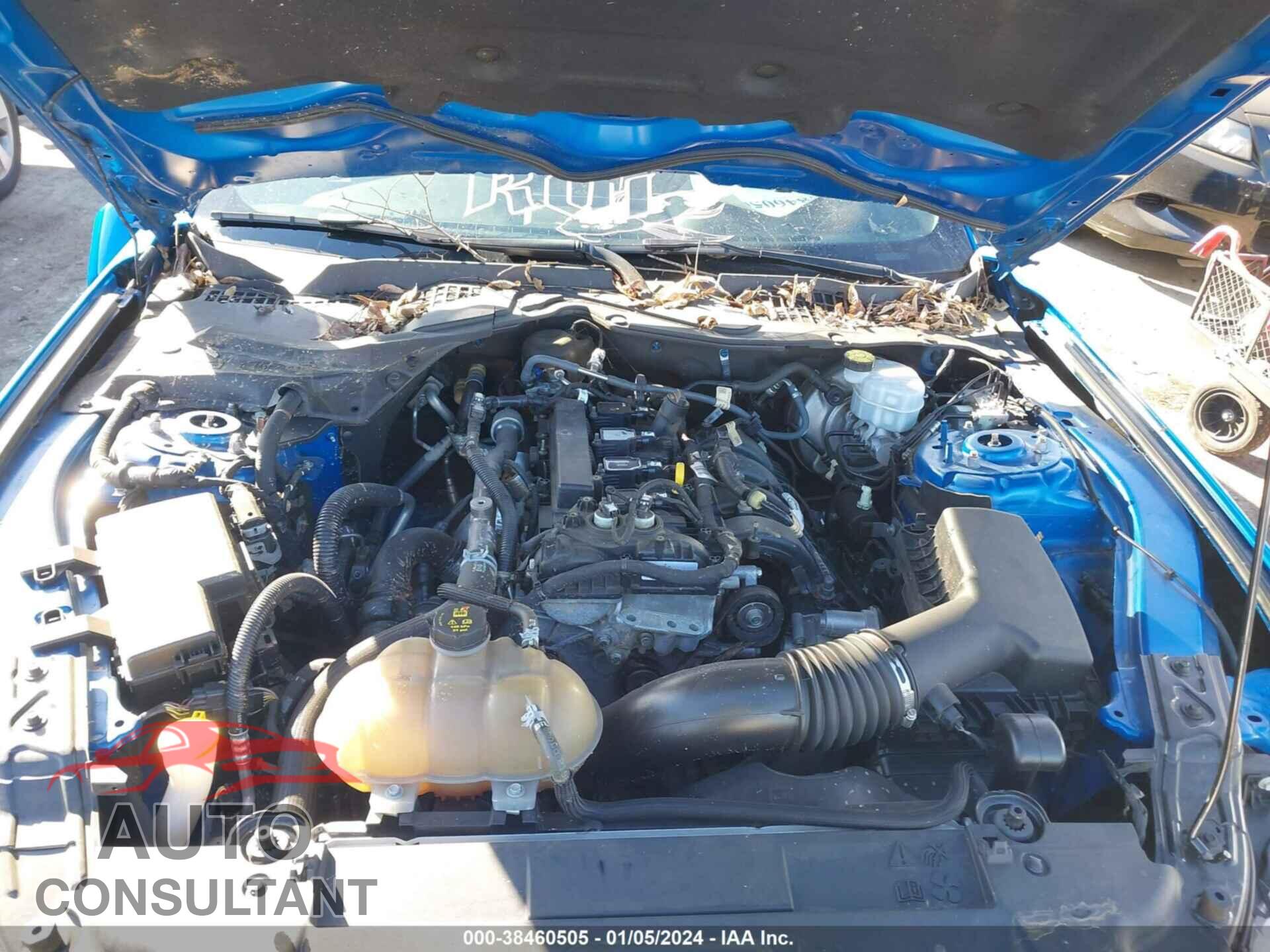 FORD MUSTANG 2019 - 1FA6P8TH7K5117320