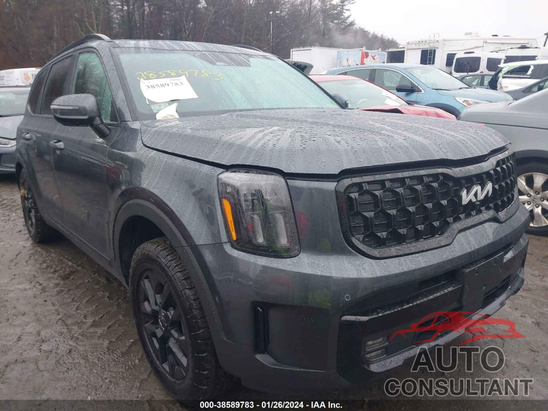 KIA TELLURIDE 2024 - 5XYP5DGC6RG414530