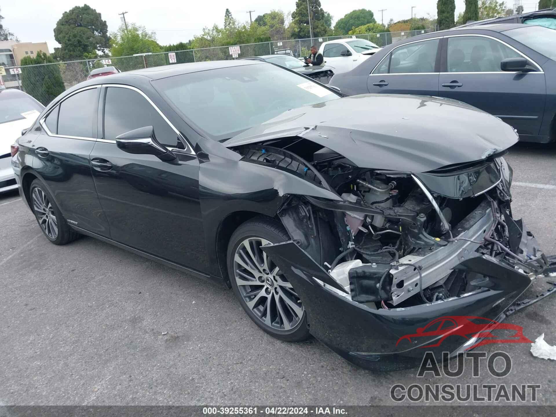 LEXUS ES 300H 2021 - 58ADA1C16MU008180