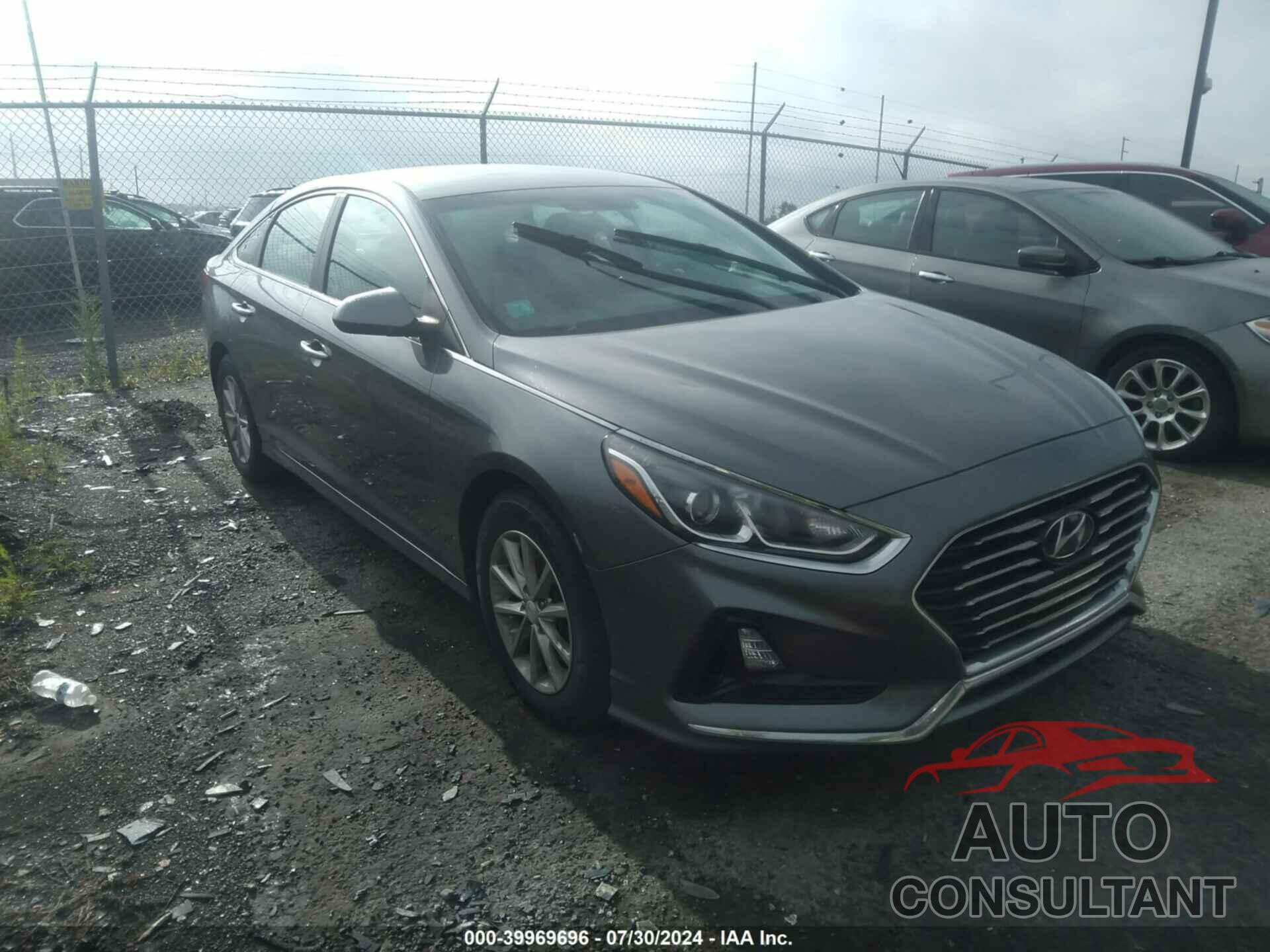 HYUNDAI SONATA 2019 - 5NPE24AF5KH777791