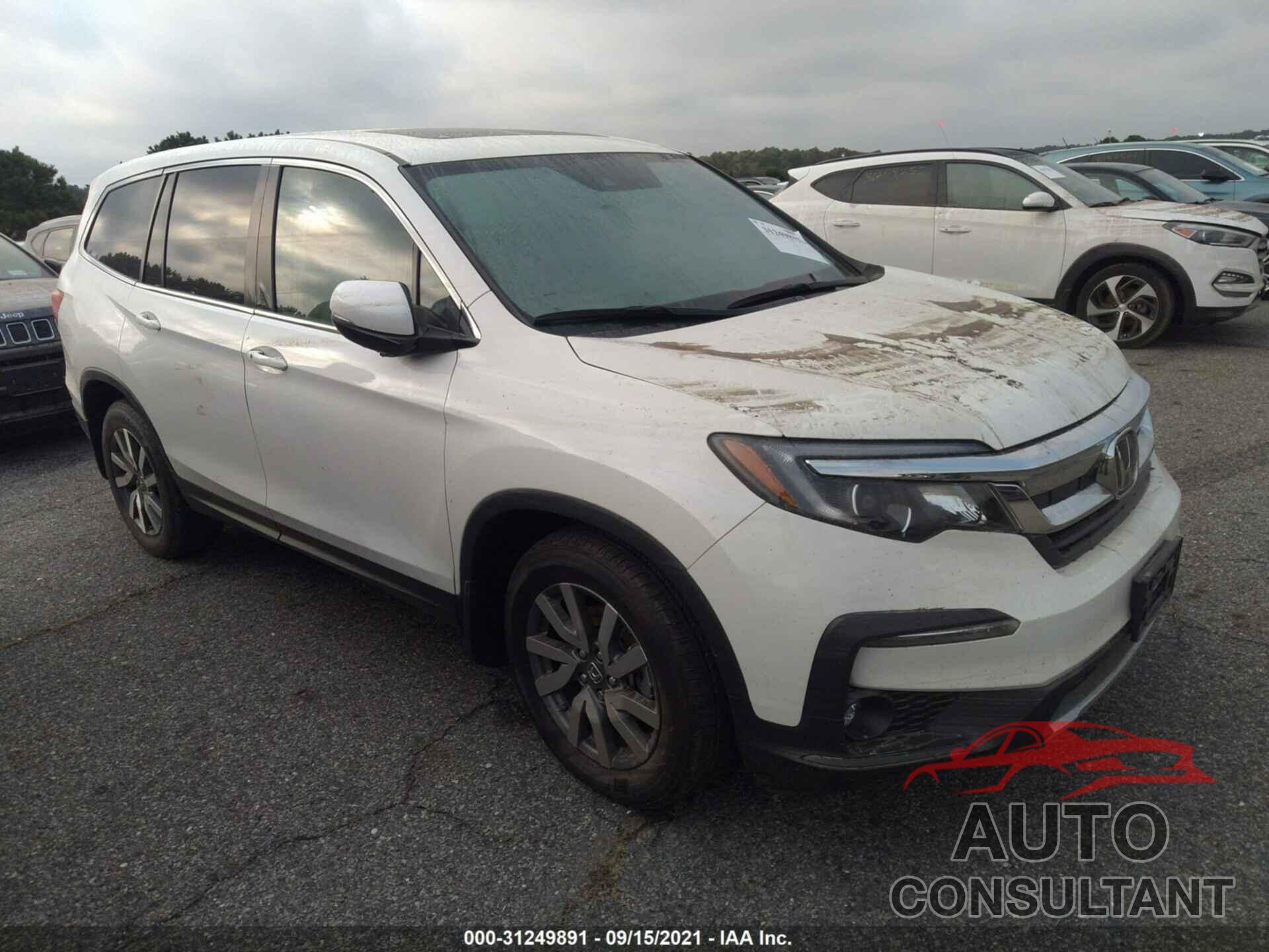 HONDA PILOT 2019 - 5FNYF6H55KB080520