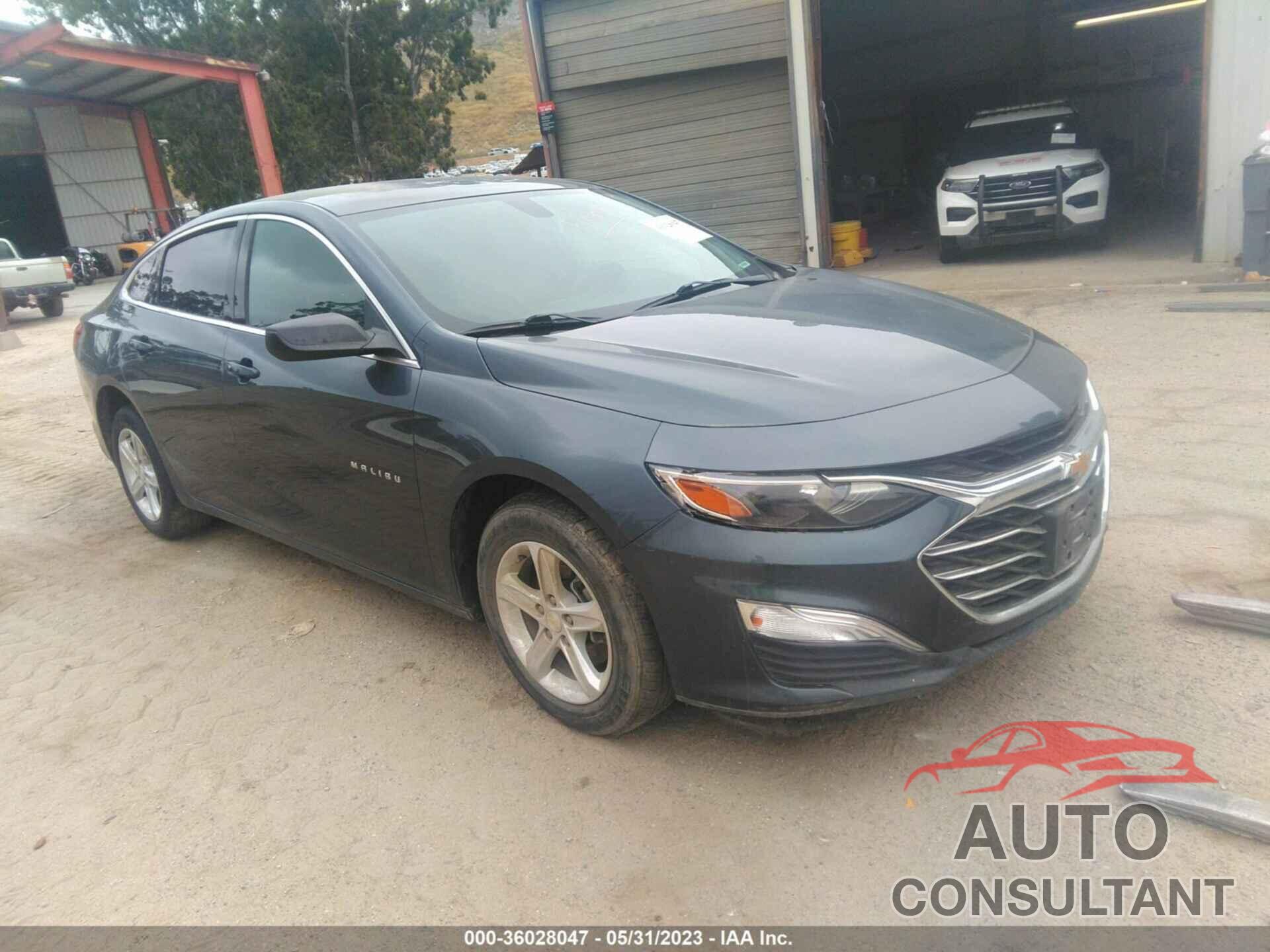 CHEVROLET MALIBU 2019 - 1G1ZC5ST5KF178594