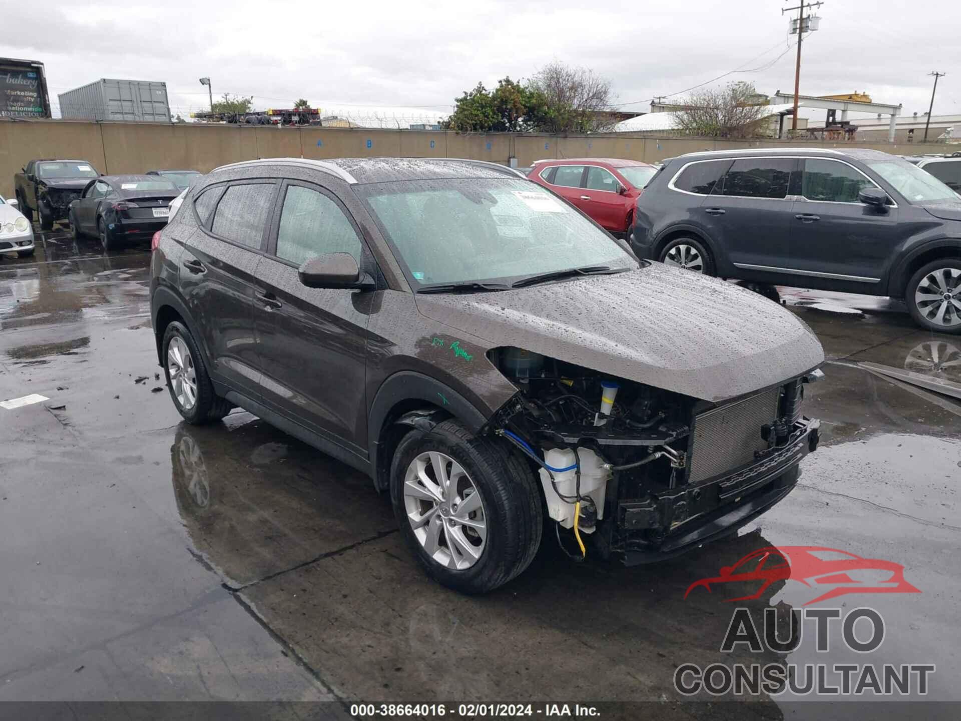 HYUNDAI TUCSON 2019 - KM8J33A43KU005246