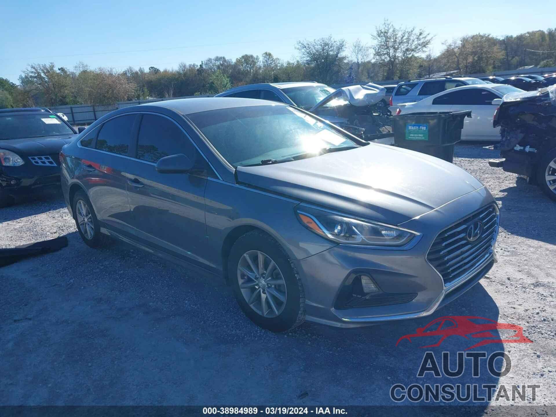 HYUNDAI SONATA 2019 - 5NPE24AF6KH729670