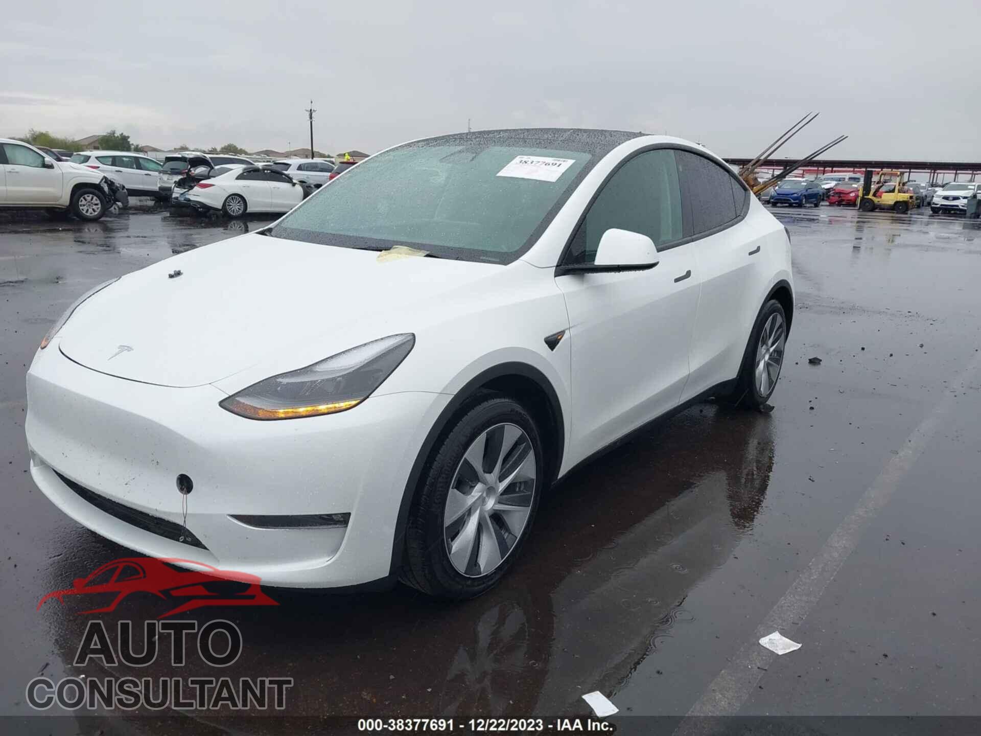 TESLA MODEL Y 2023 - 7SAYGAEE5PF751814