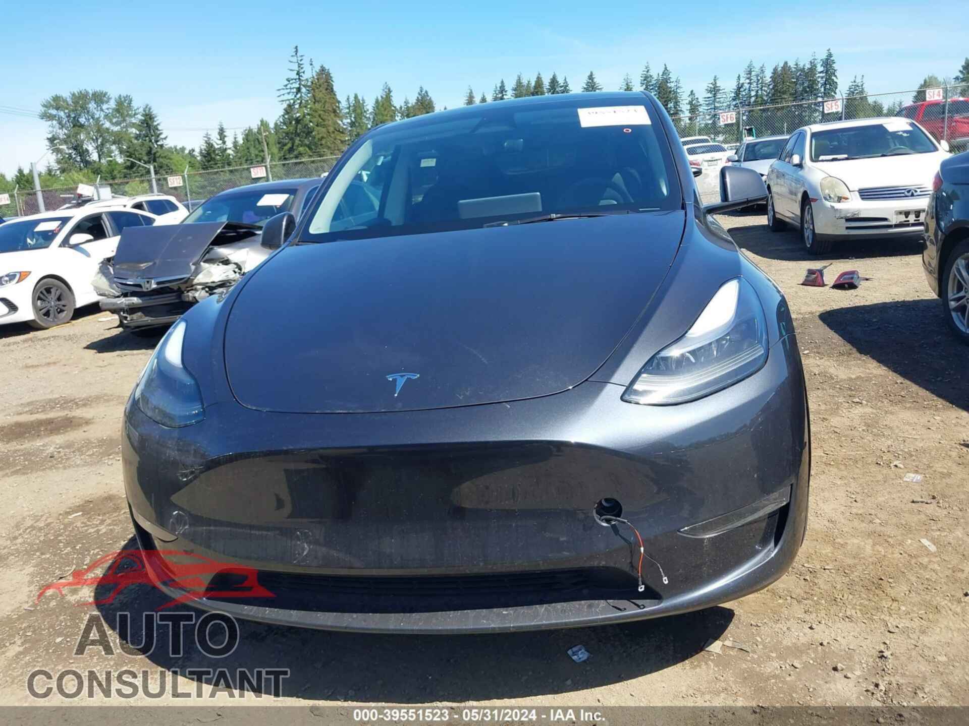TESLA MODEL Y 2024 - 7SAYGAEE8RF987831