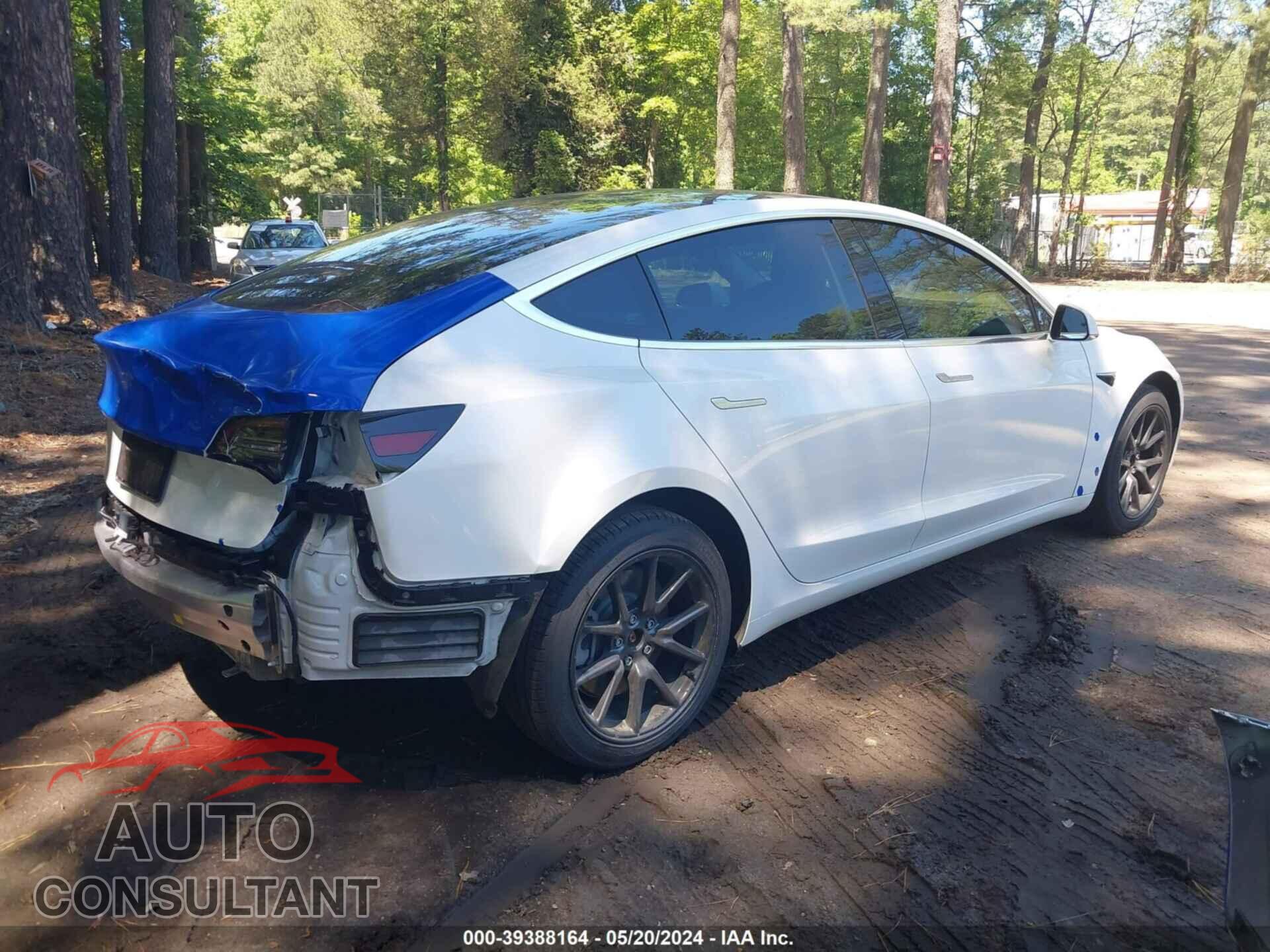 TESLA MODEL 3 2019 - 5YJ3E1EA3KF485177