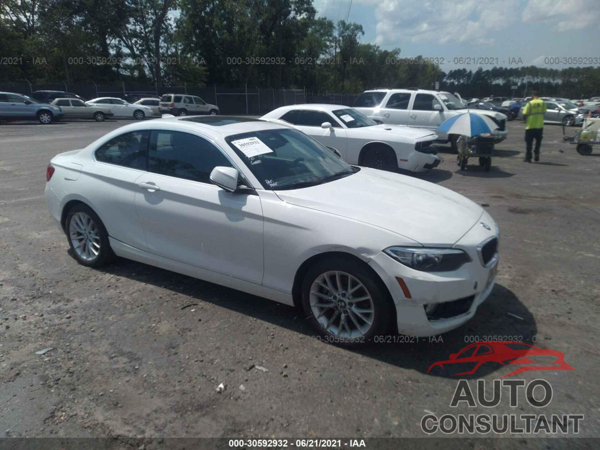 BMW 2 SERIES 2016 - WBA1F9C51GV544757