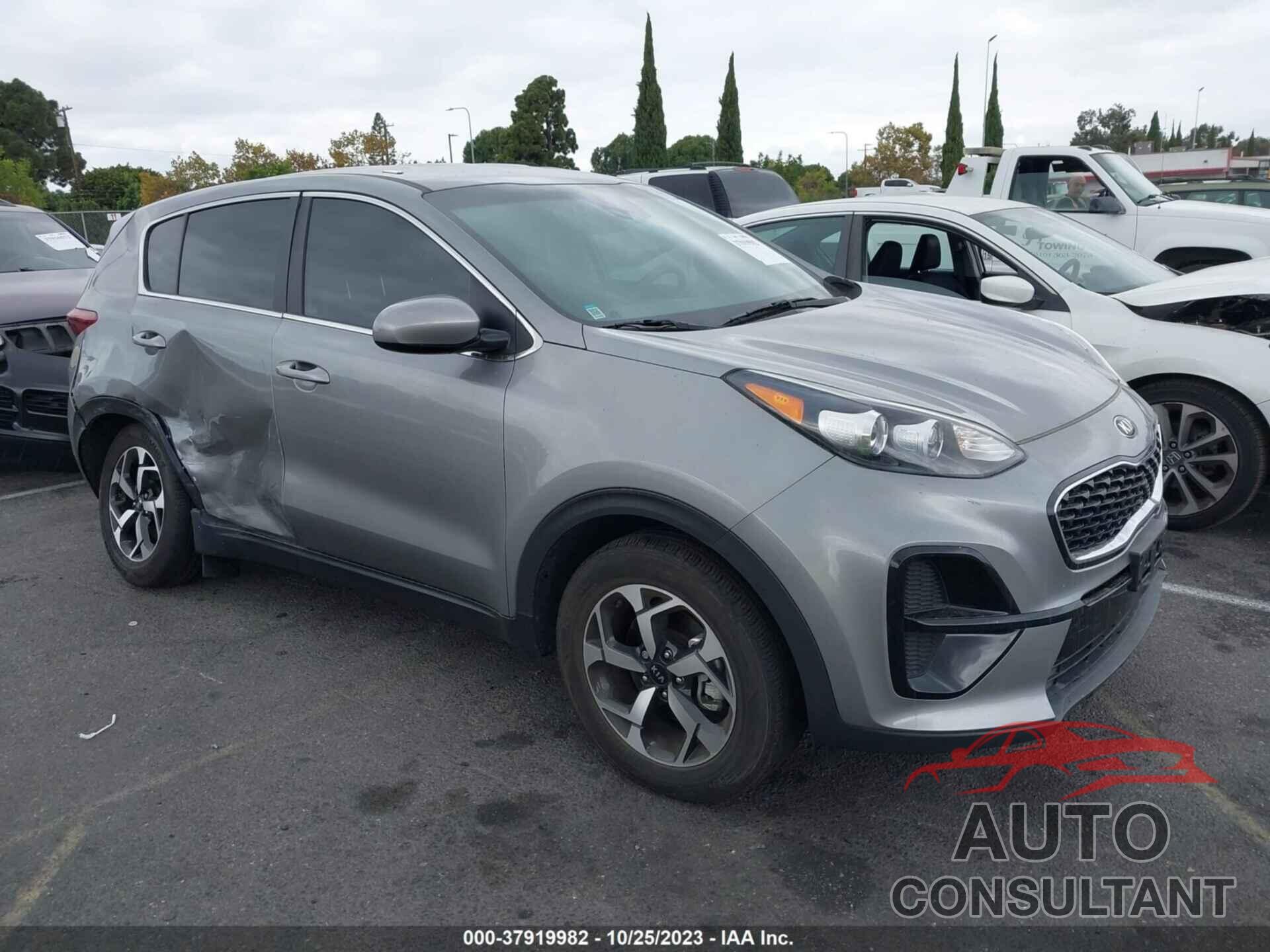 KIA SPORTAGE 2022 - KNDPM3AC4N7975581