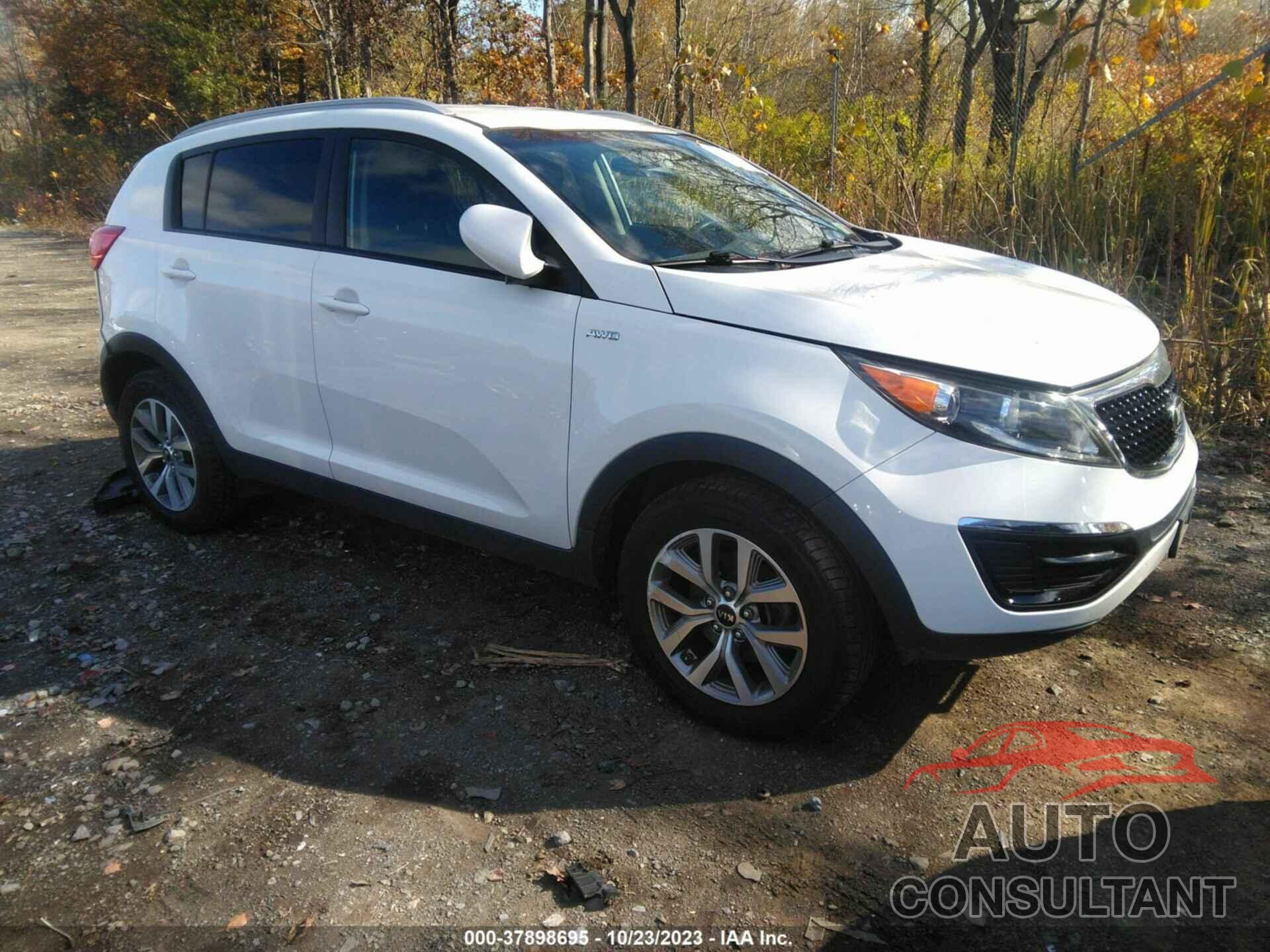 KIA SPORTAGE 2016 - KNDPBCAC8G7873662