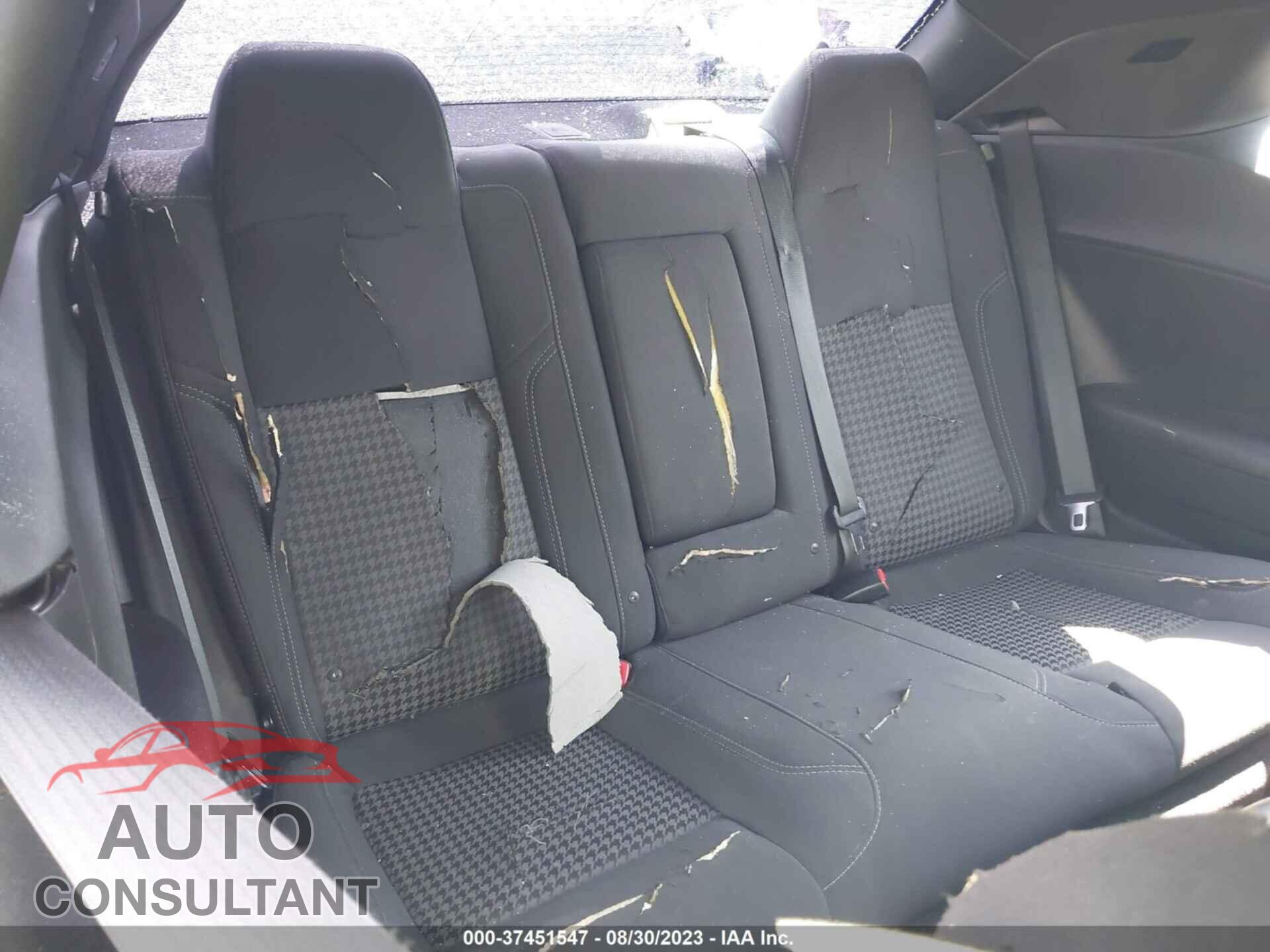 DODGE CHALLENGER 2019 - 2C3CDZAG5KH551707