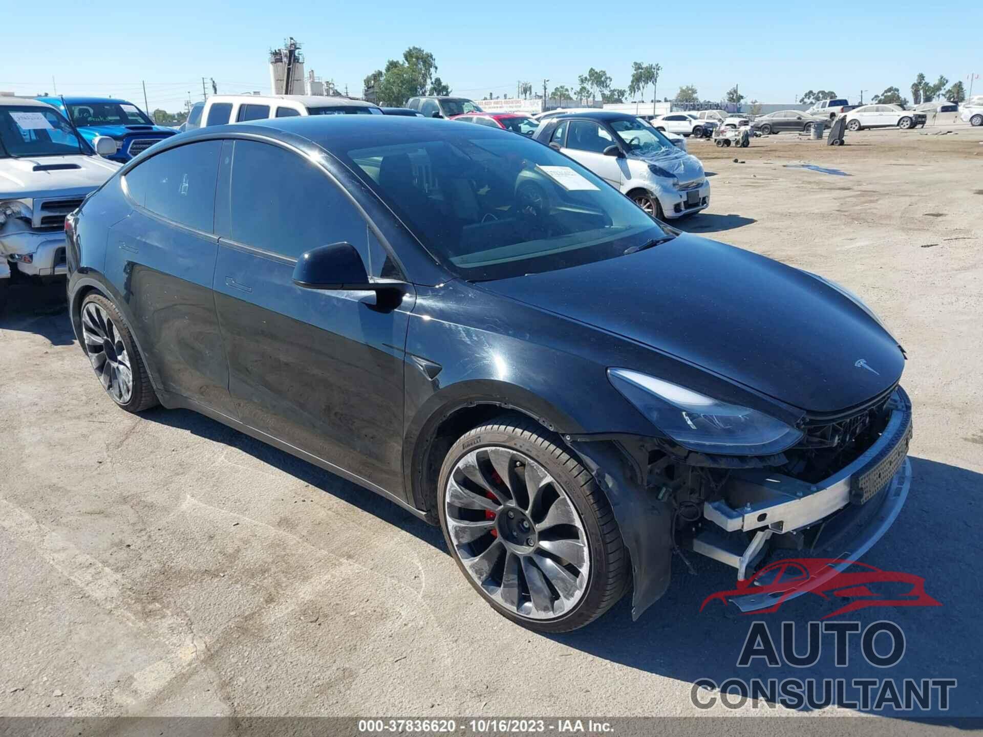 TESLA MODEL Y 2022 - 7SAYGDEF6NF447446