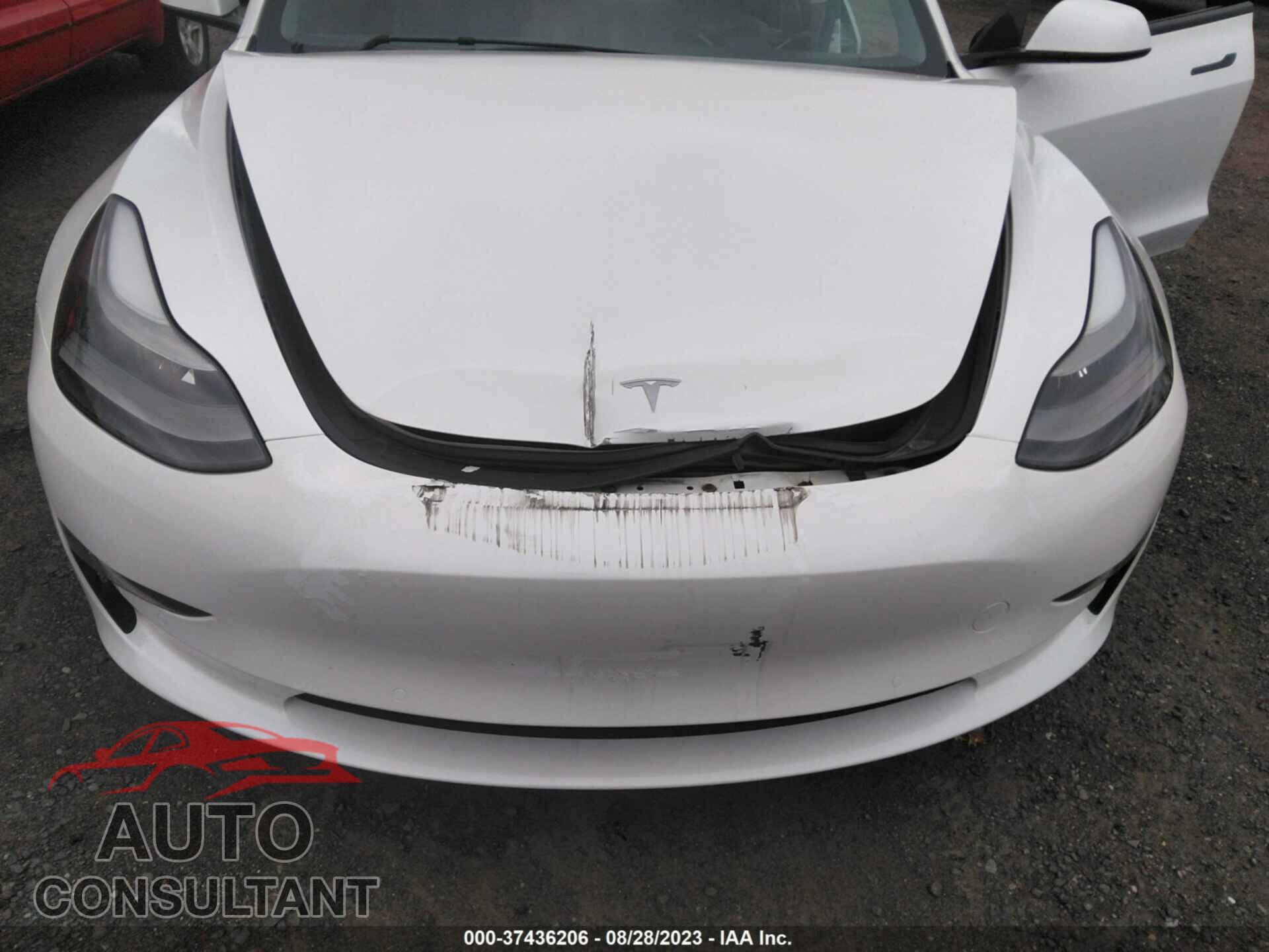 TESLA MODEL 3 2021 - 5YJ3E1EC9MF094829