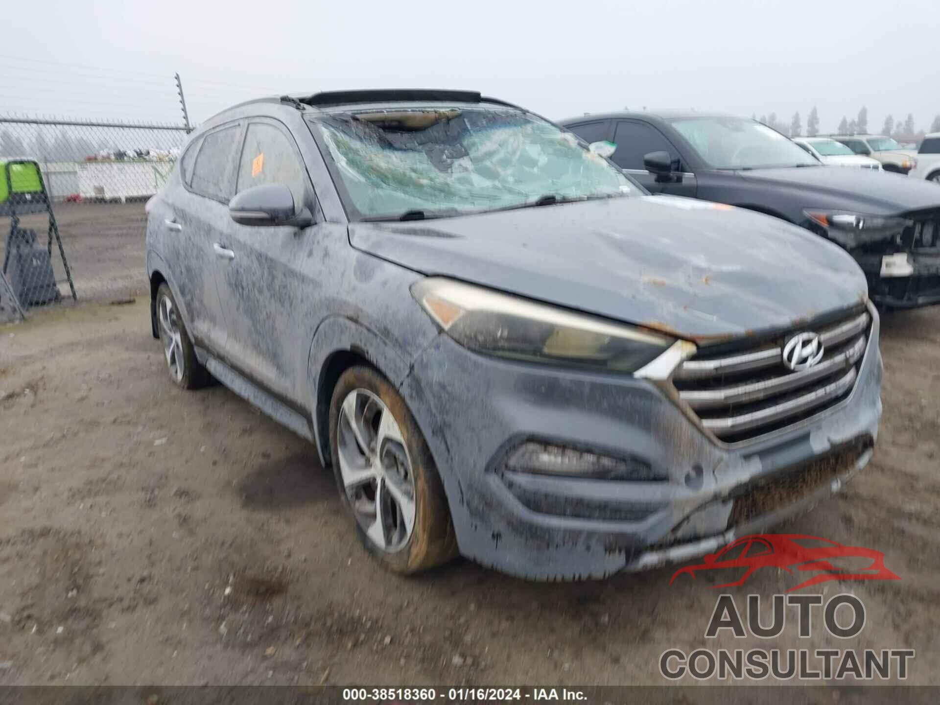 HYUNDAI TUCSON 2016 - KM8J33A21GU237947