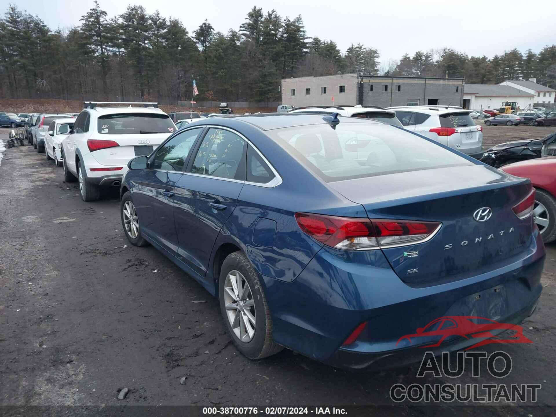 HYUNDAI SONATA 2019 - 5NPE24AF4KH777135