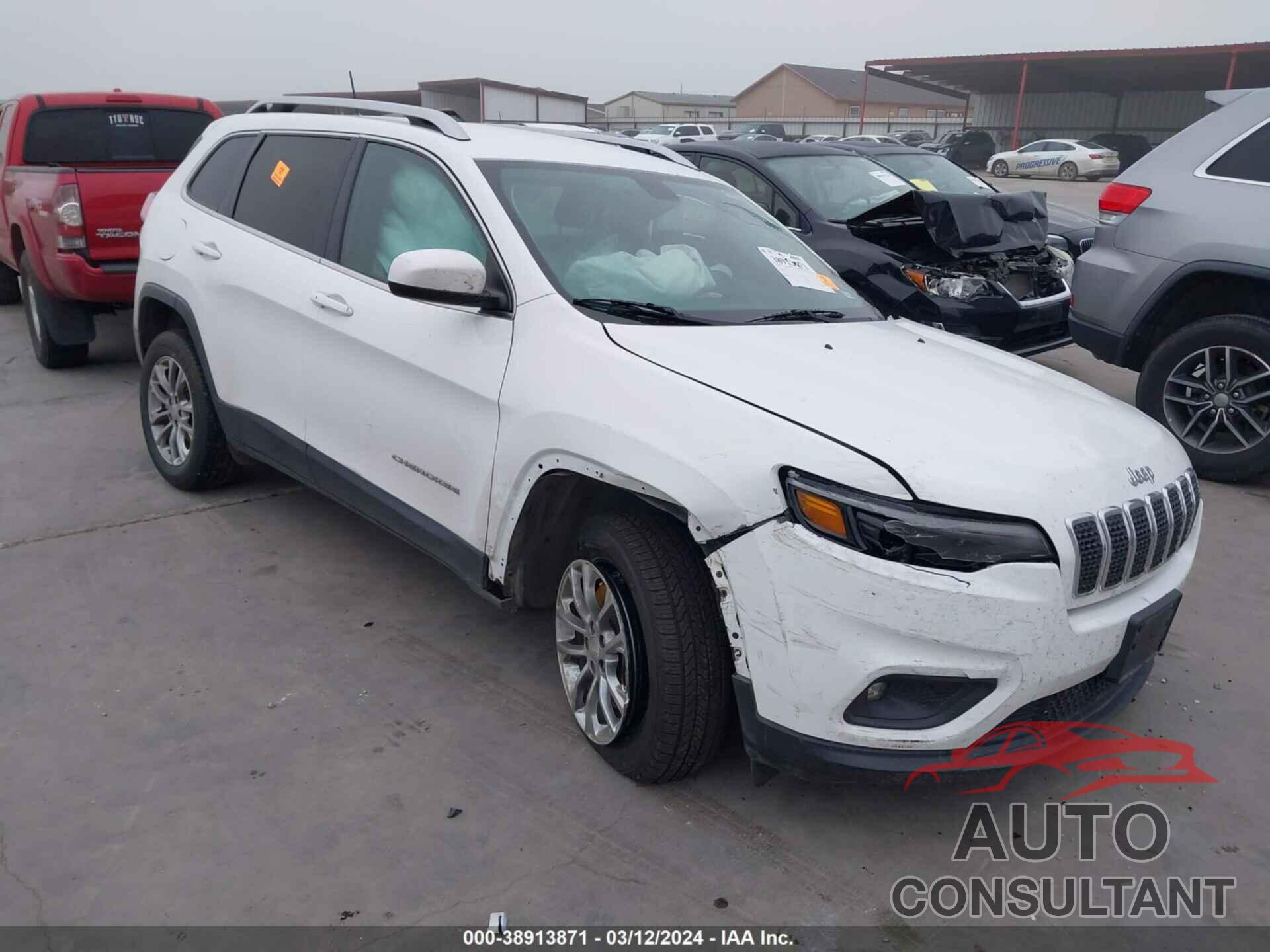 JEEP CHEROKEE 2019 - 1C4PJLLB2KD154263