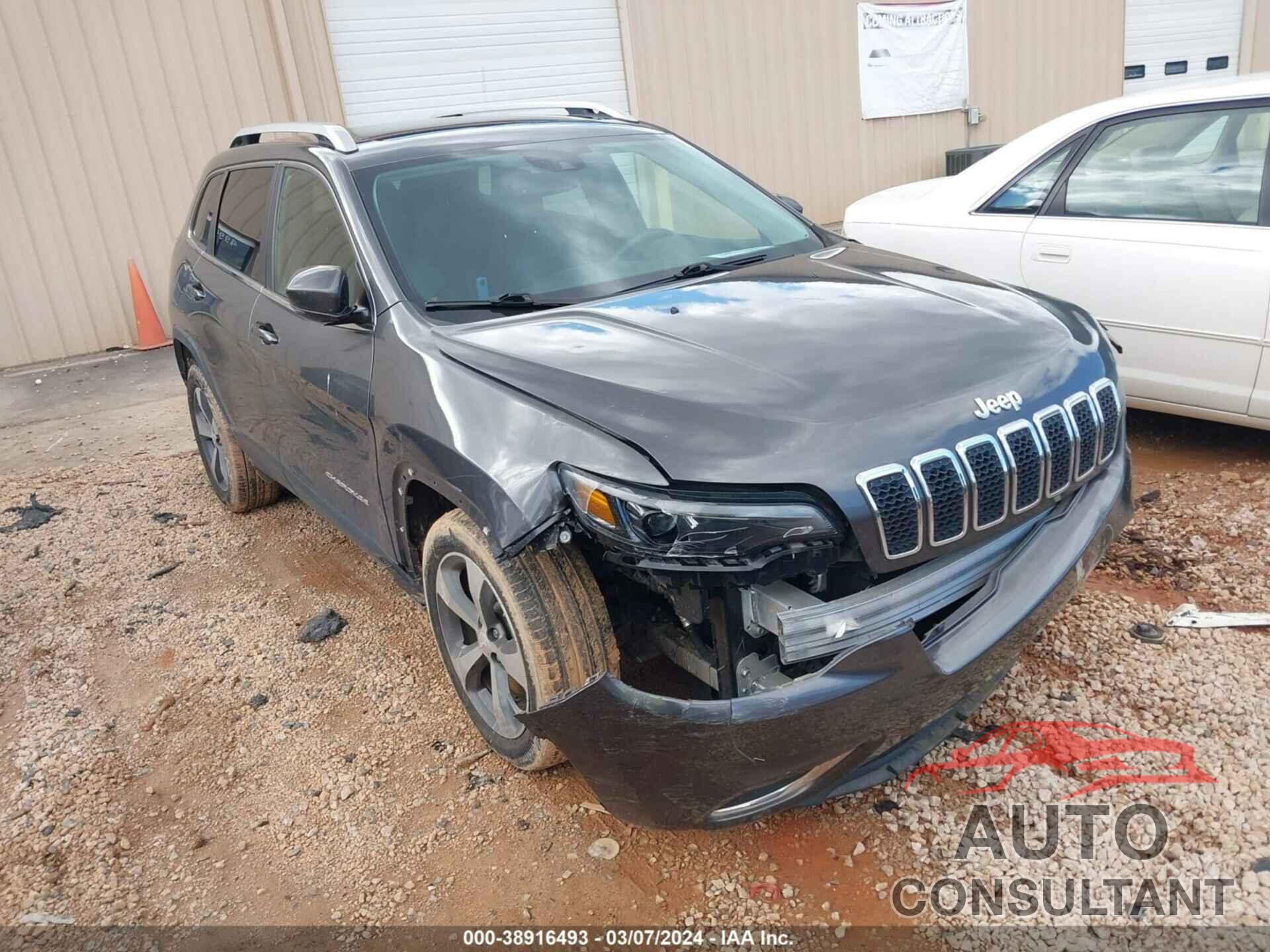 JEEP CHEROKEE 2019 - 1C4PJLDB1KD110902