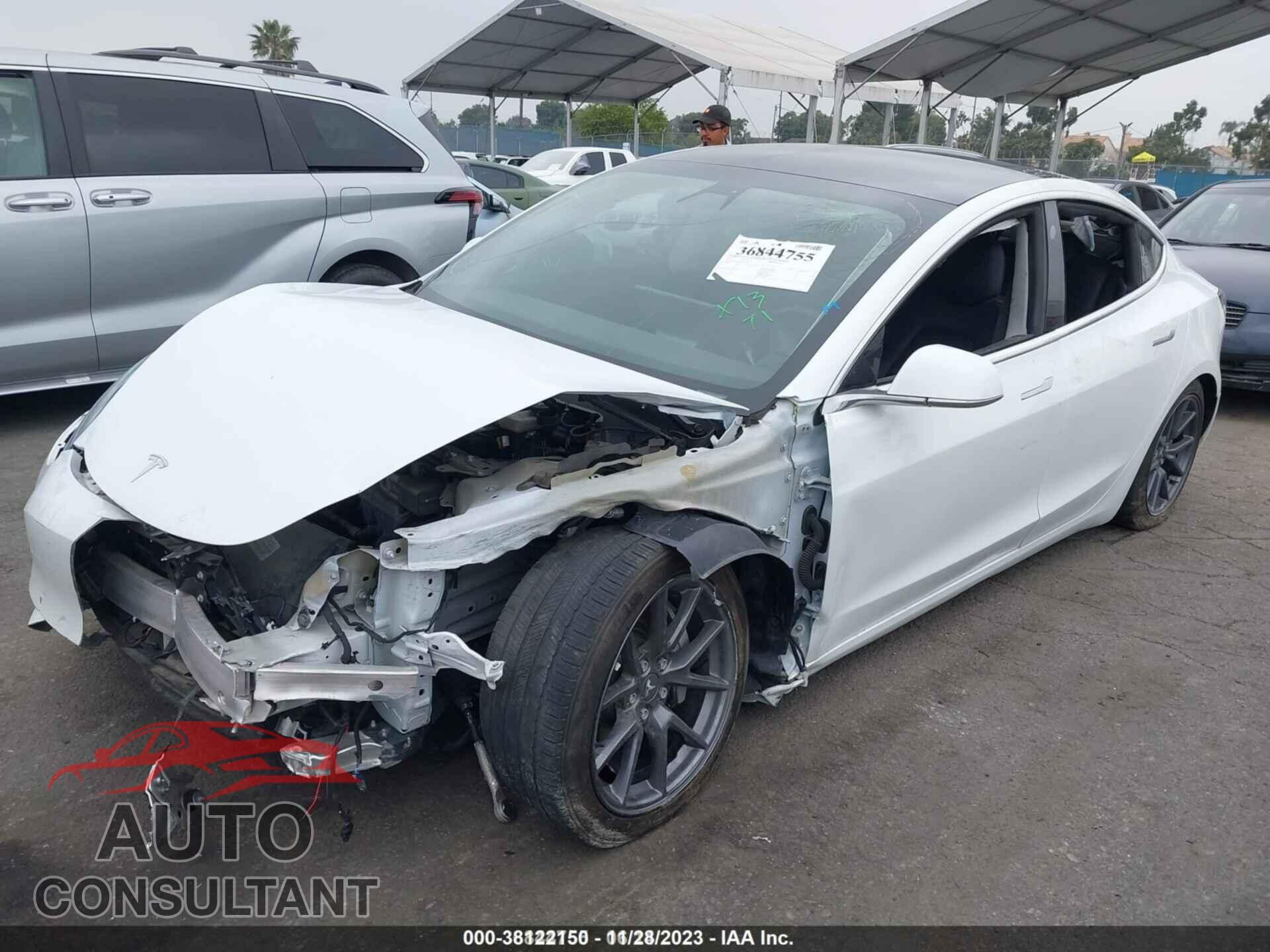 TESLA MODEL 3 2019 - 5YJ3E1EA3KF503967