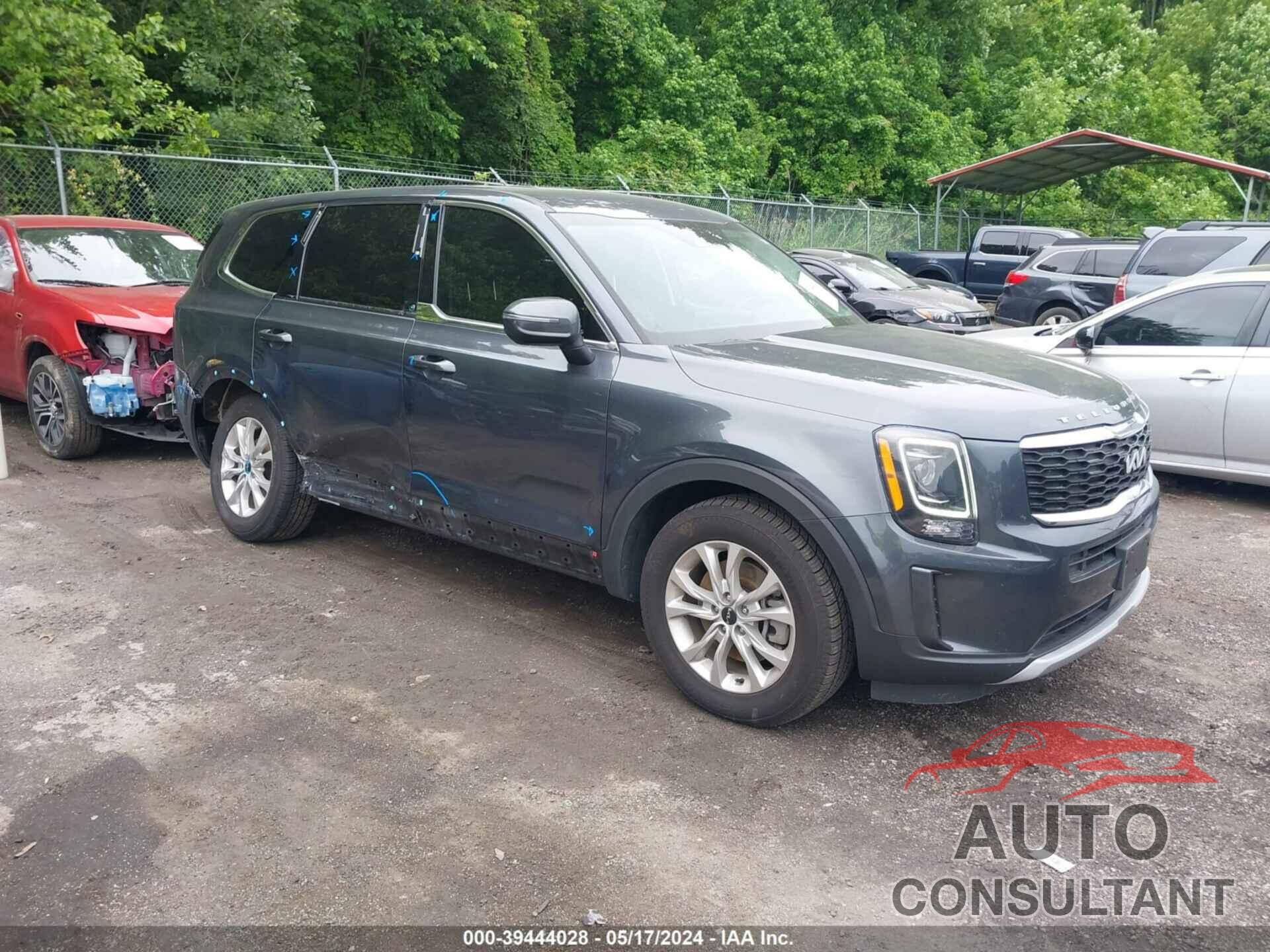 KIA TELLURIDE 2022 - 5XYP2DHC0NG262648