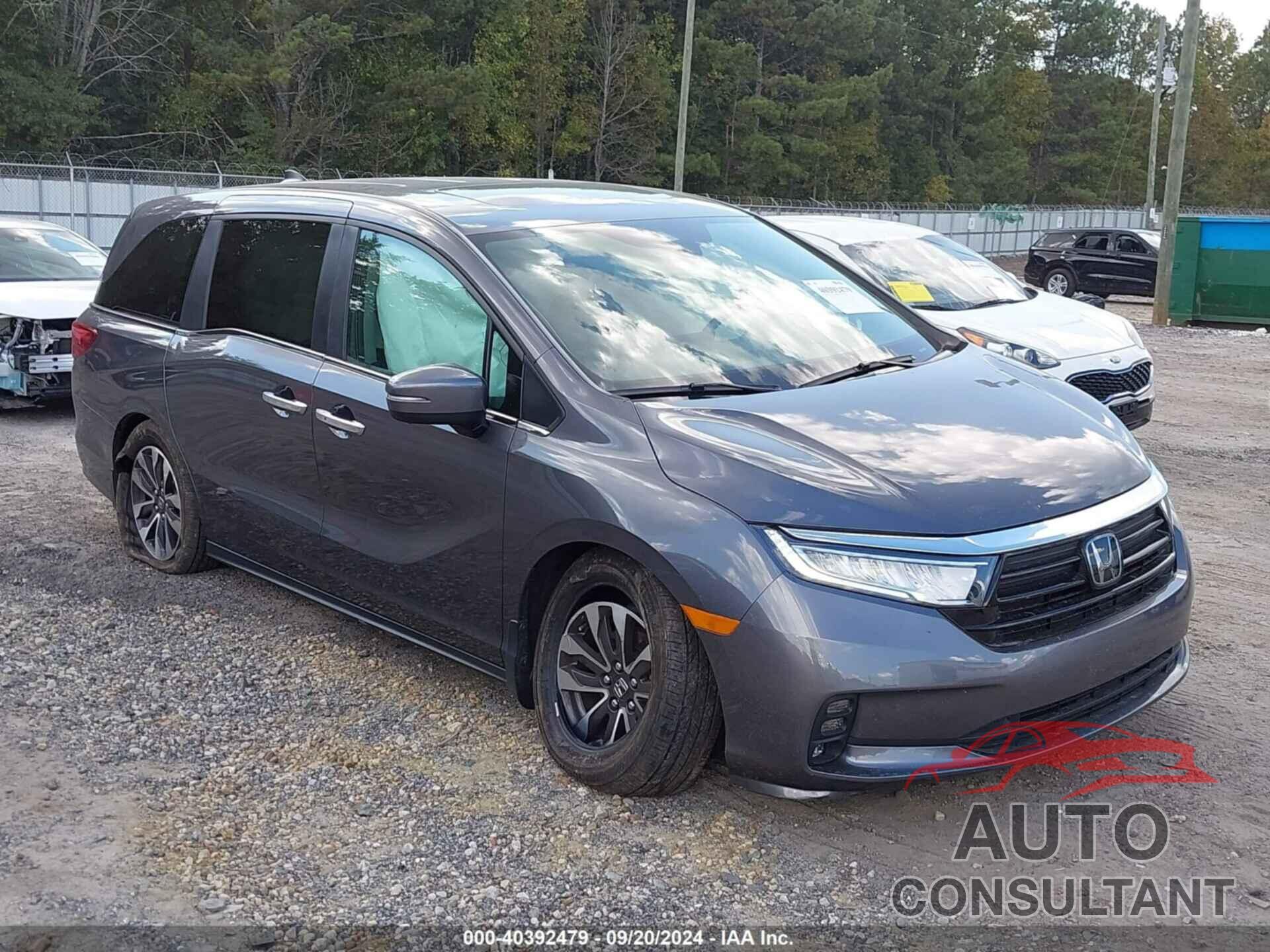 HONDA ODYSSEY 2024 - 5FNRL6H61RB007337