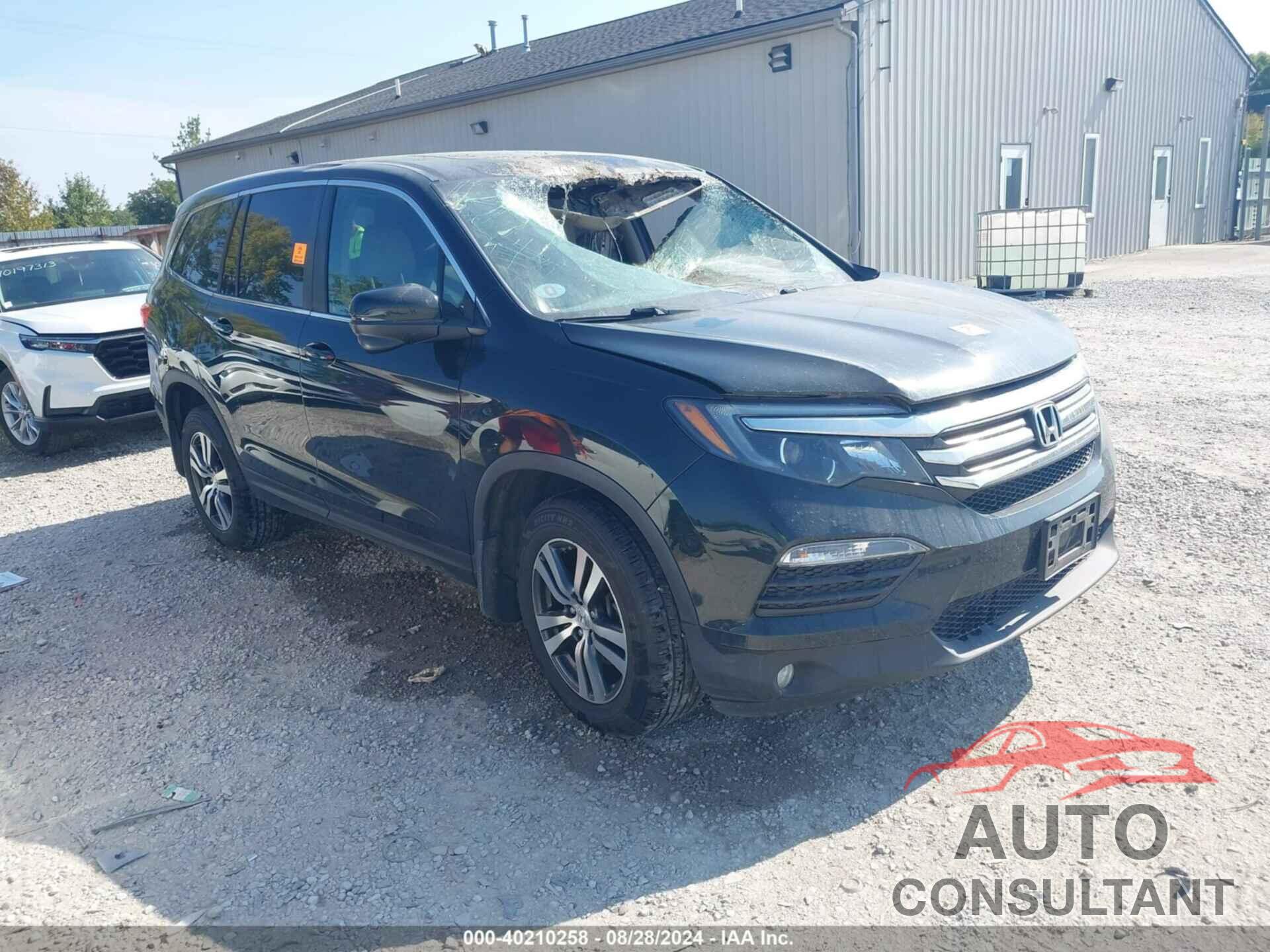 HONDA PILOT 2016 - 5FNYF6H8XGB112184