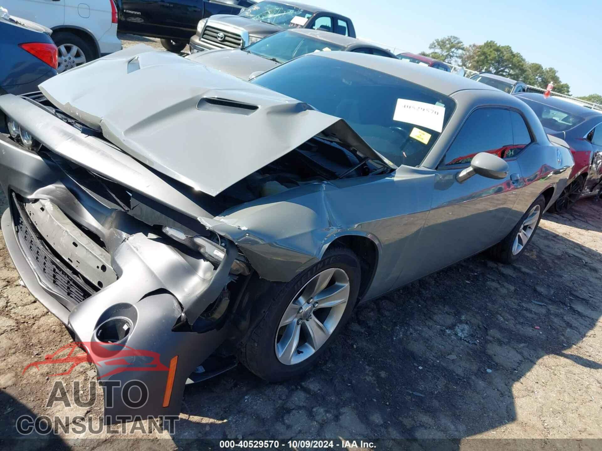 DODGE CHALLENGER 2019 - 2C3CDZAG9KH660946