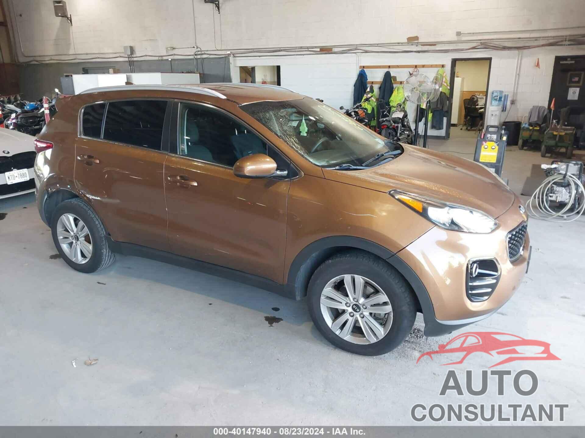 KIA SPORTAGE 2019 - KNDPMCAC6K7497496