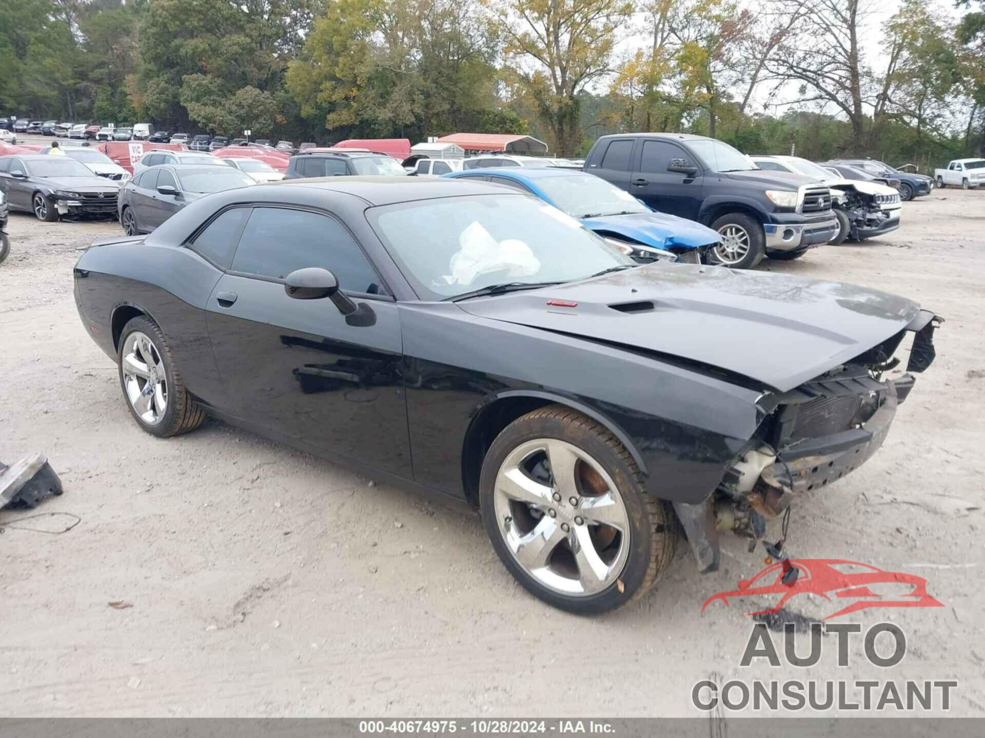 DODGE CHALLENGER 2013 - 2C3CDYBT8DH676127