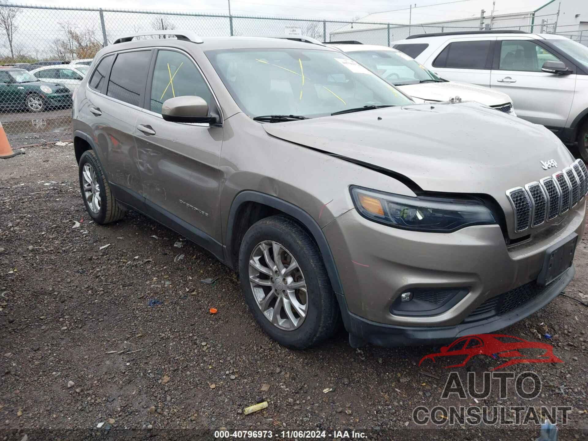 JEEP CHEROKEE 2019 - 1C4PJLCB3KD171511