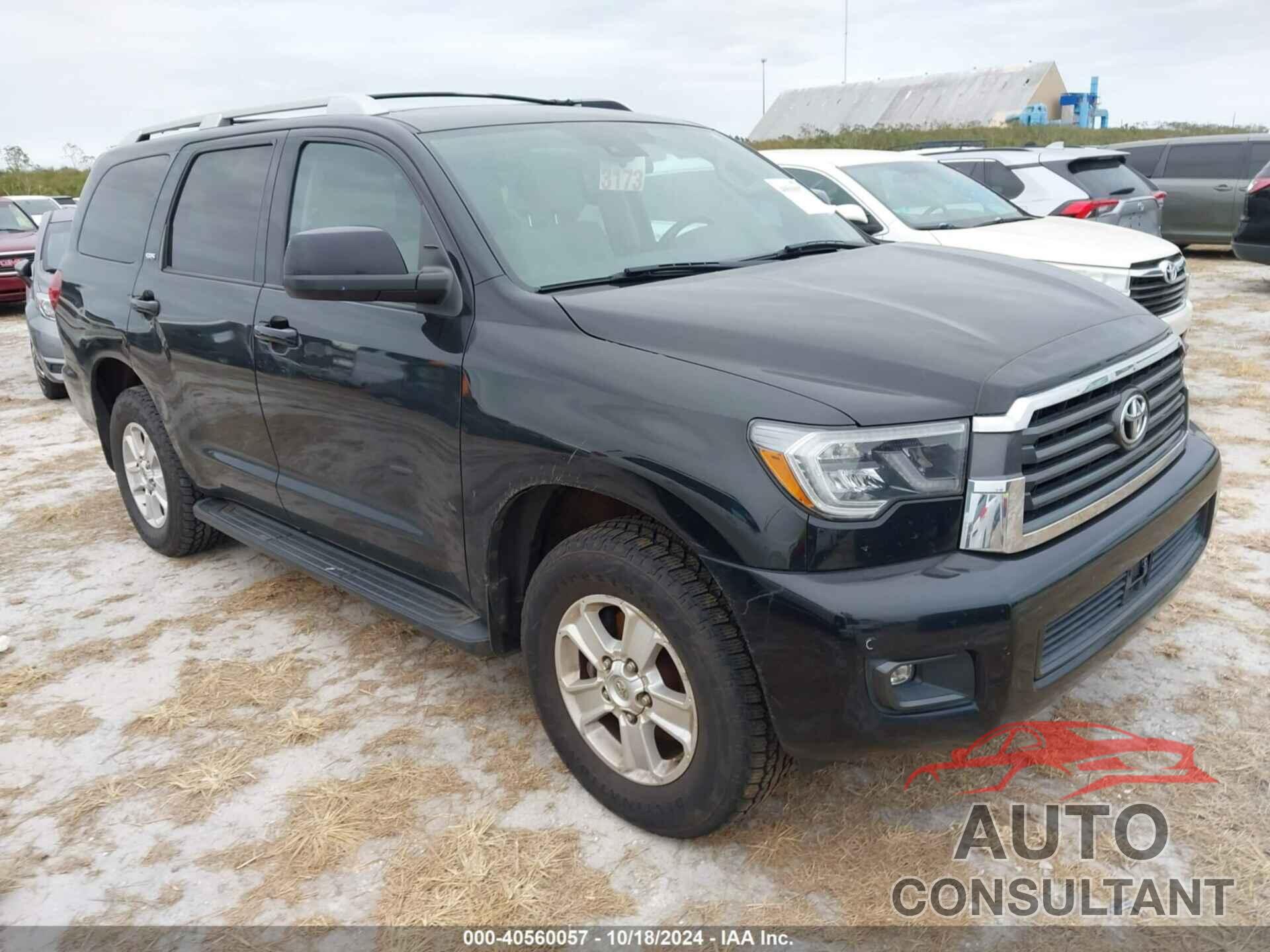 TOYOTA SEQUOIA 2018 - 5TDBY5G19JS163466