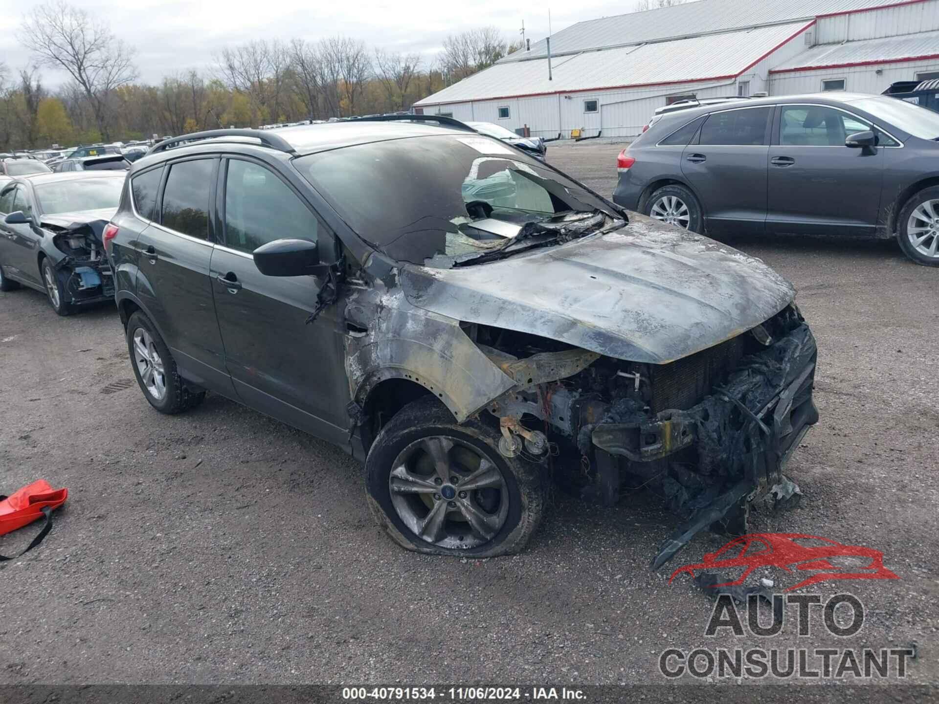 FORD ESCAPE 2014 - 1FMCU9GX4EUC84172