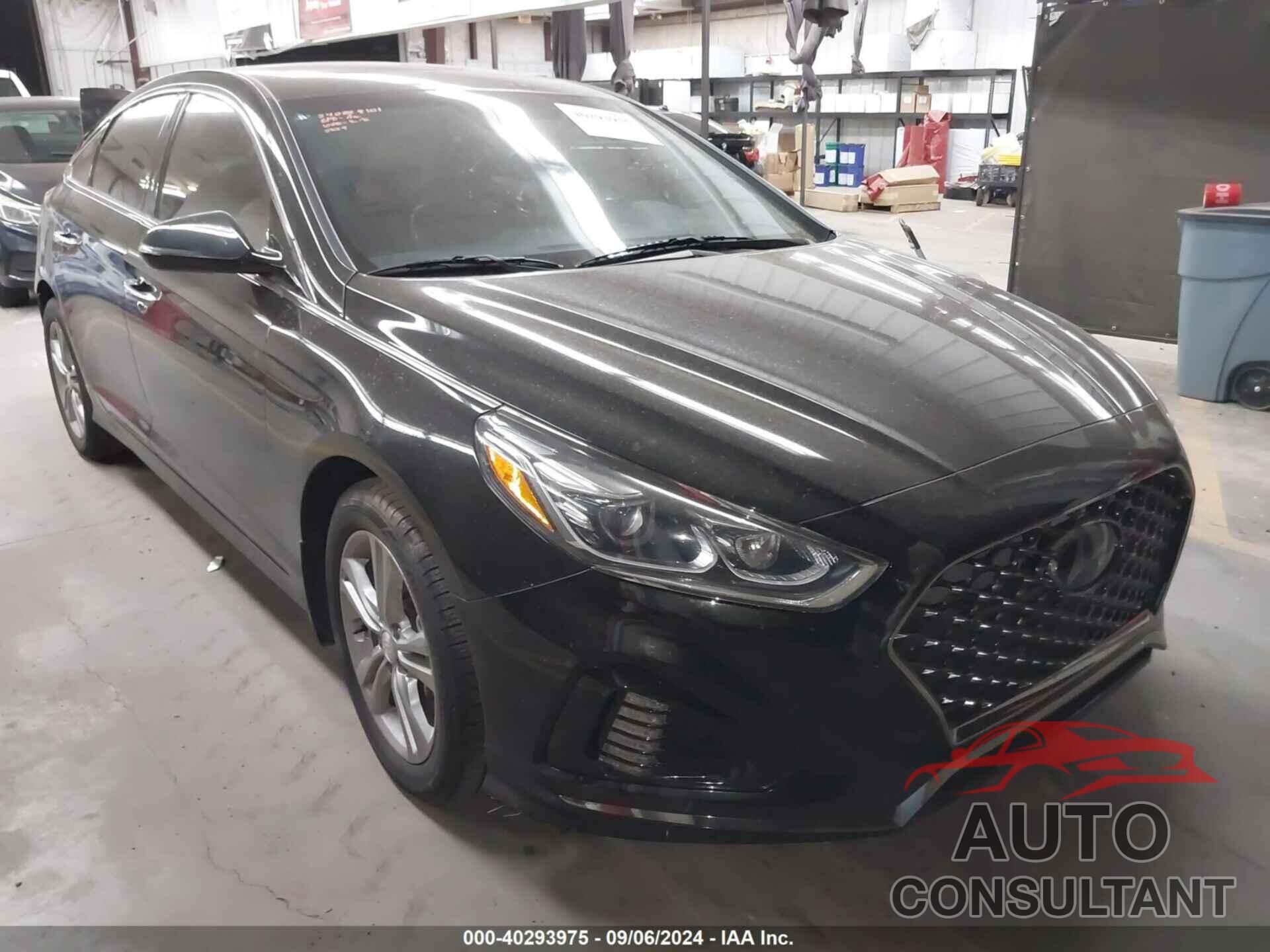 HYUNDAI SONATA 2019 - 5NPE34AF3KH735889