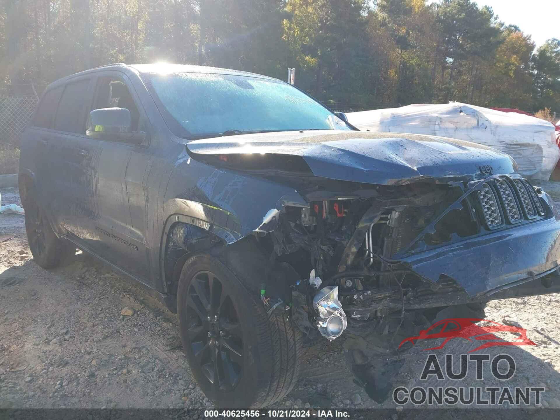 JEEP GRAND CHEROKEE 2017 - 1C4RJEAG9HC953331